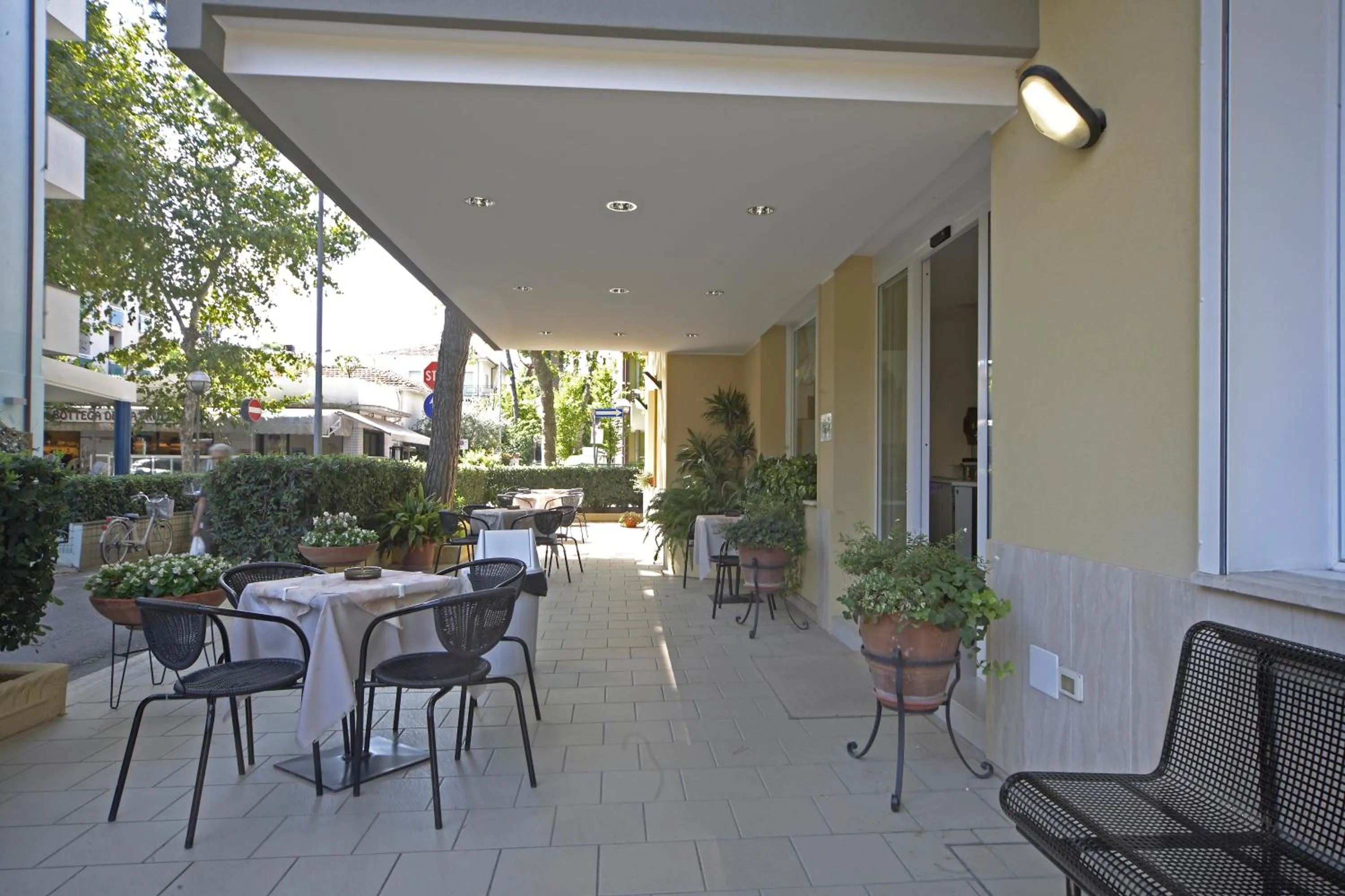 Garden in Hotel Lugano