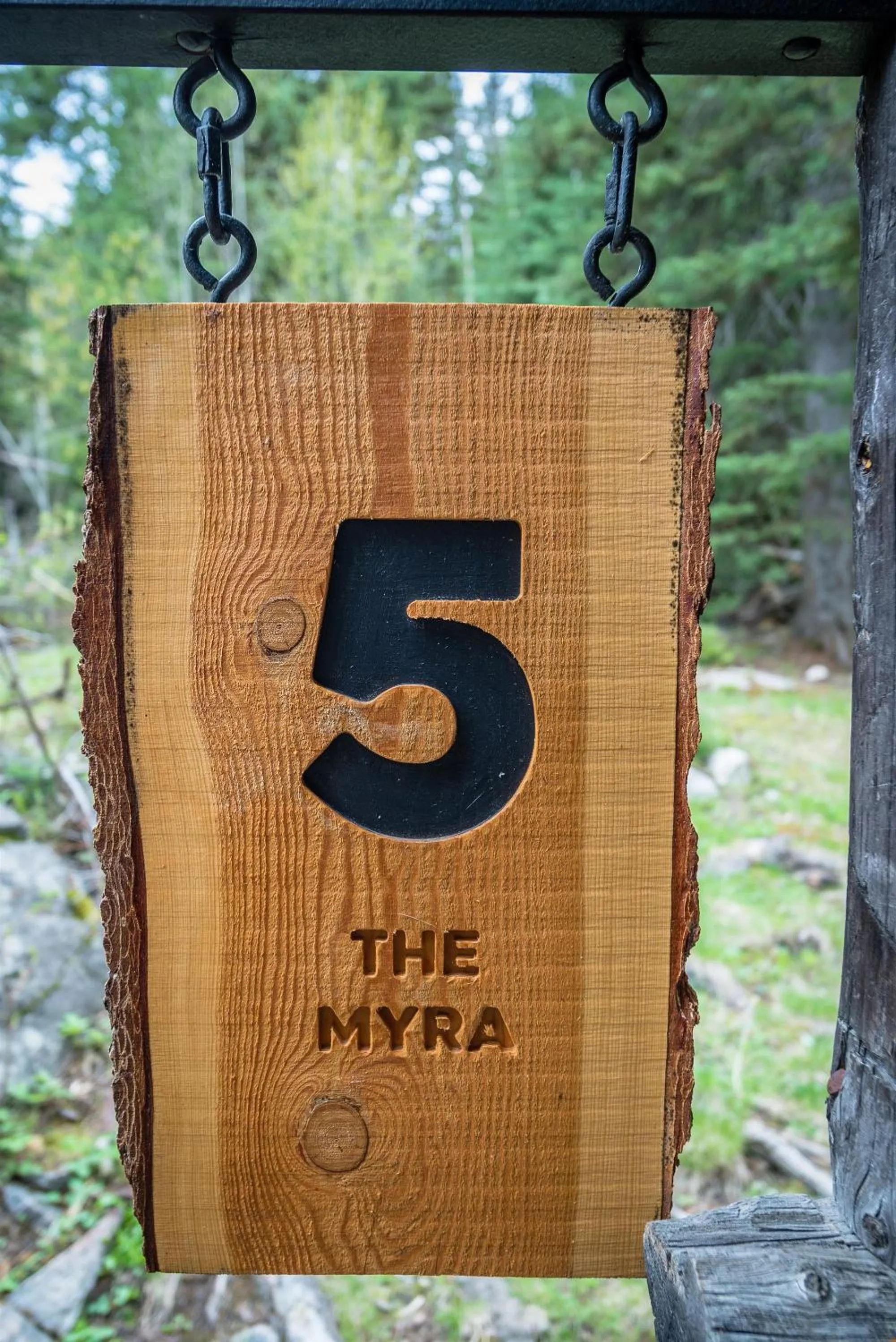 Property logo or sign in Chute Lake Lodge