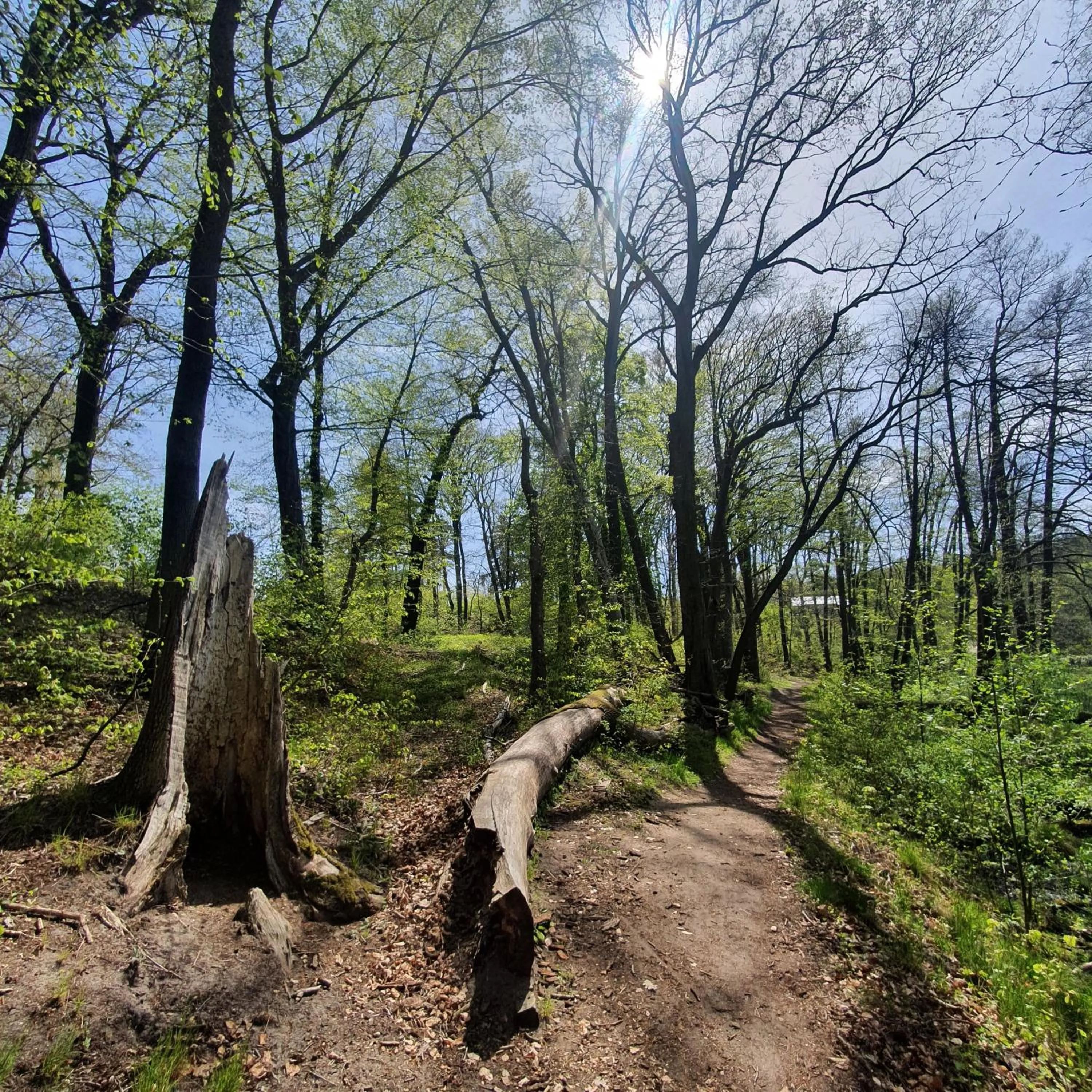 Hiking in Hotel Gut Klostermühle natur resort & medical spa