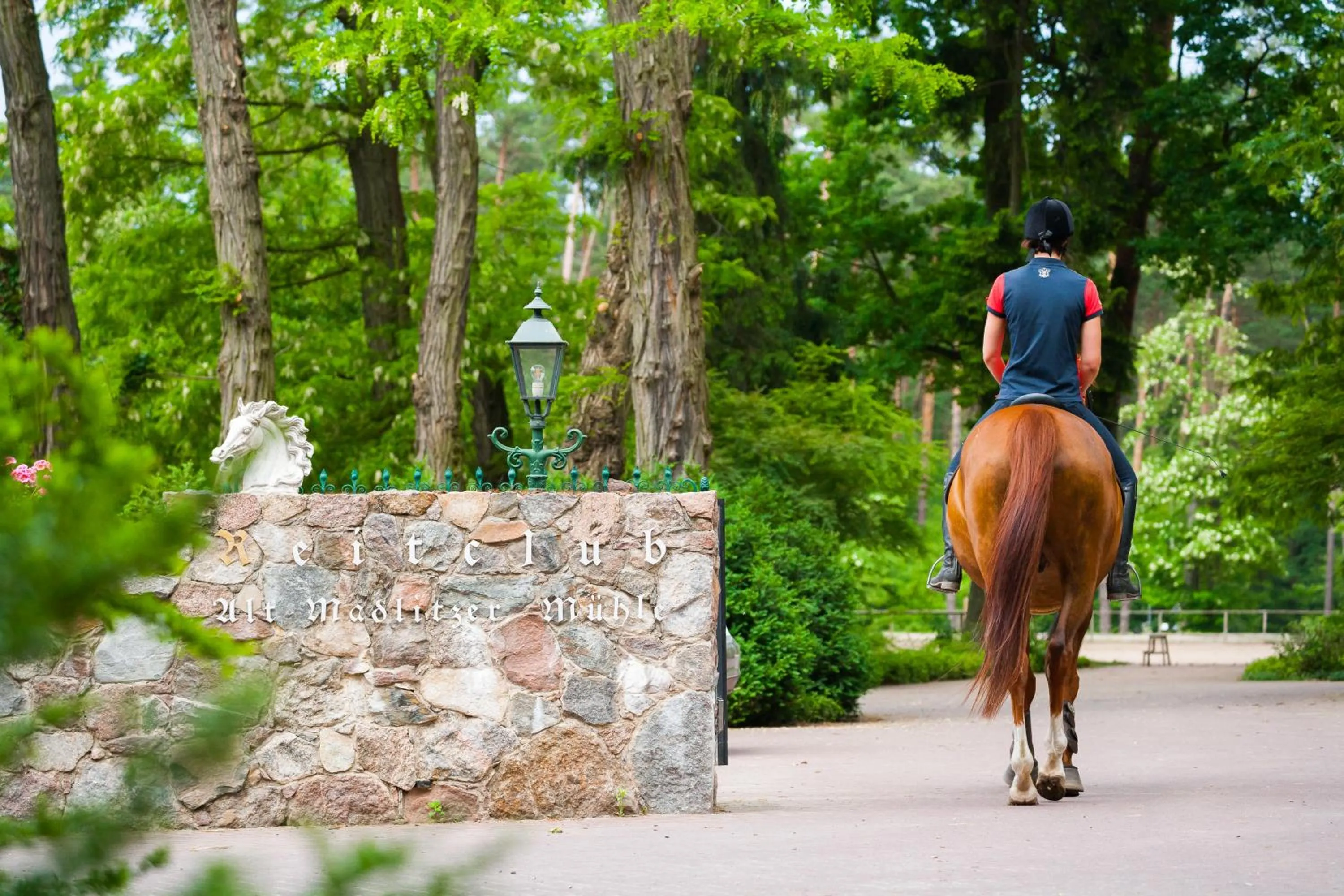 Horse-riding in Hotel Gut Klostermühle natur resort & medical spa