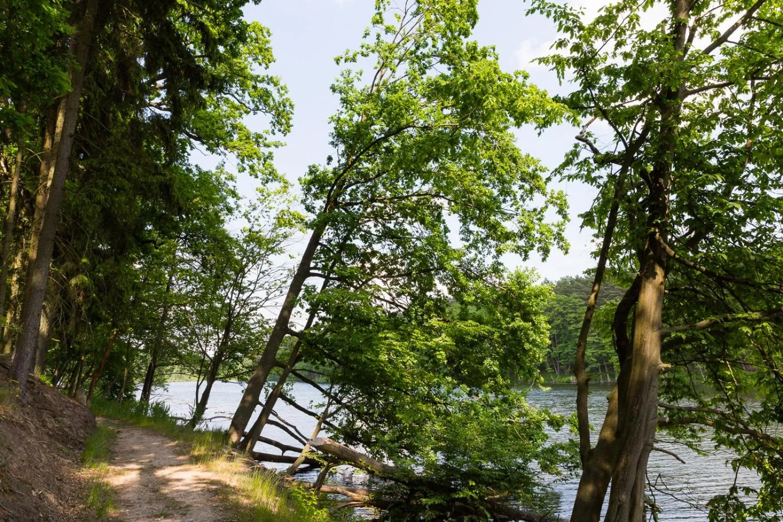 Natural landscape in Hotel Gut Klostermühle natur resort & medical spa