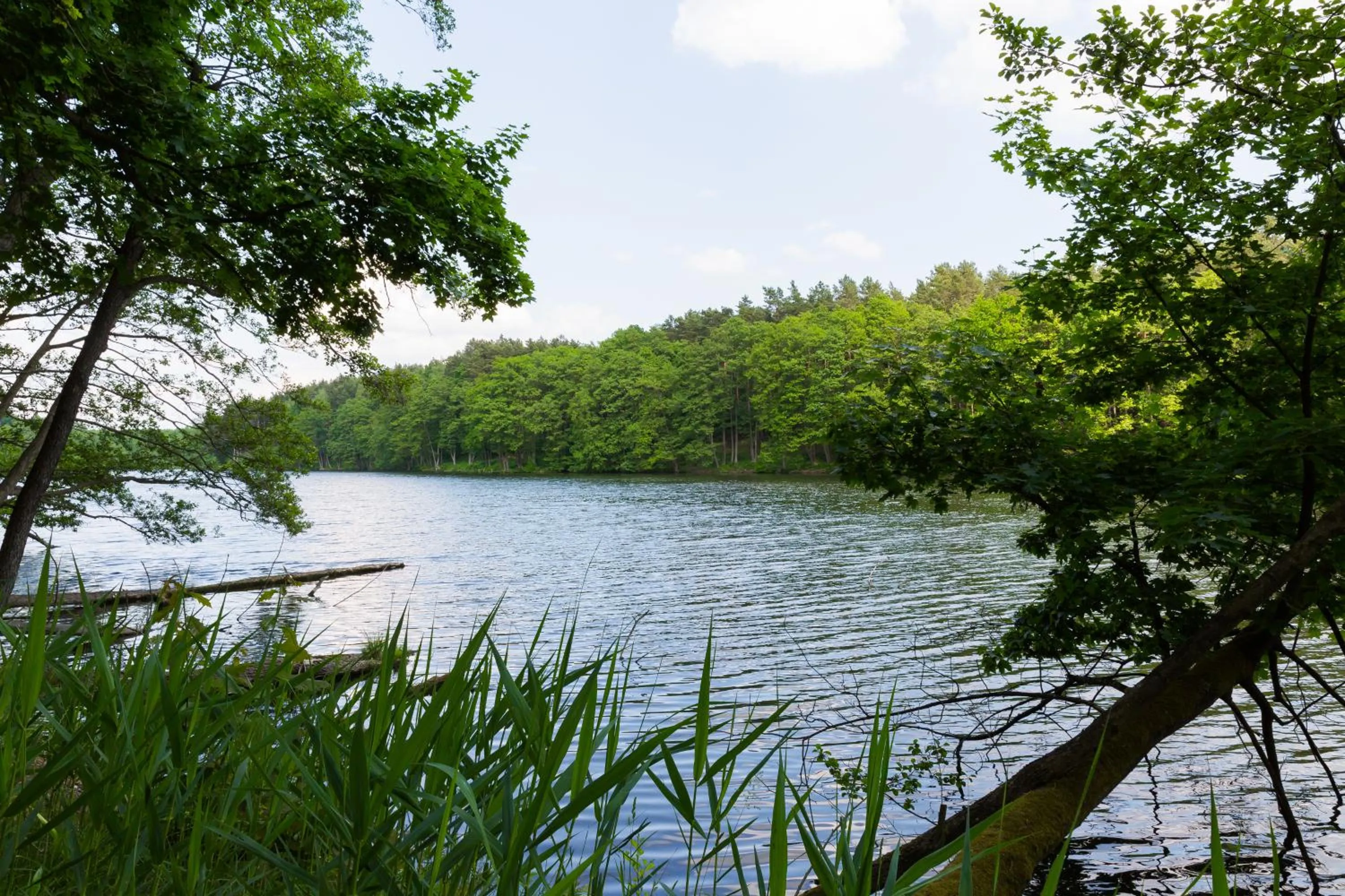 Lake view in Hotel Gut Klostermühle natur resort & medical spa