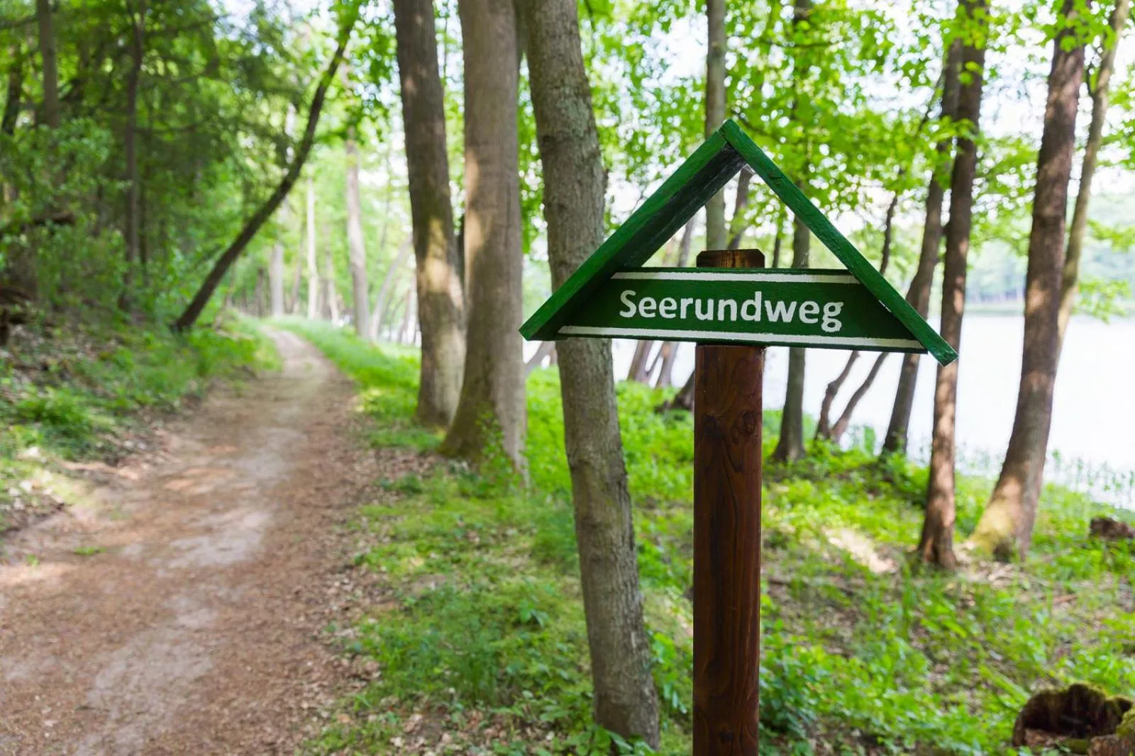 Hiking in Hotel Gut Klostermühle natur resort & medical spa