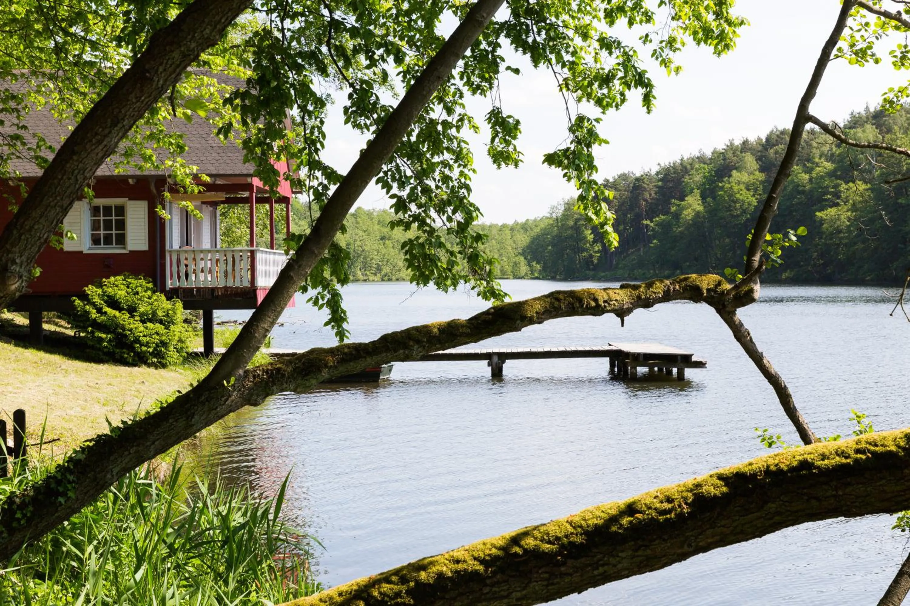 Lake view in Hotel Gut Klostermühle natur resort & medical spa