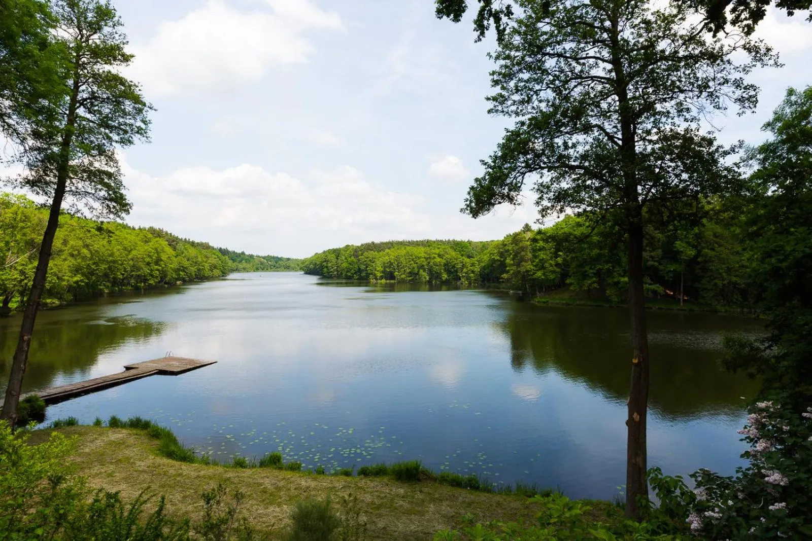 Natural landscape in Hotel Gut Klostermühle natur resort & medical spa