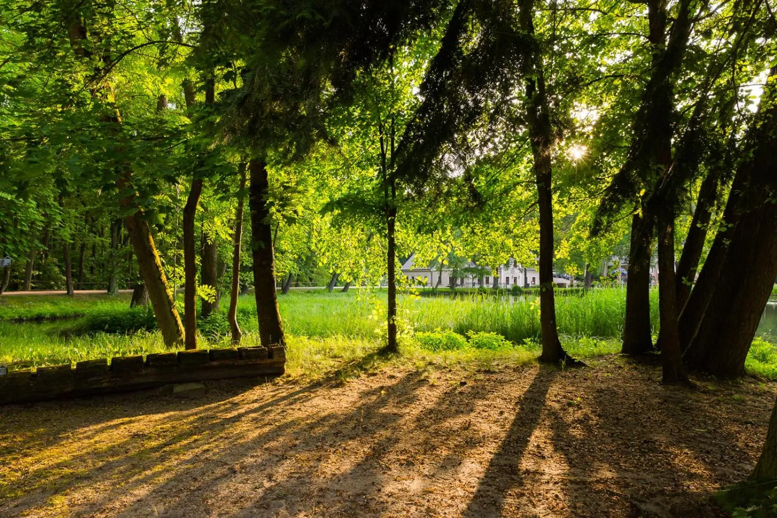 Natural landscape in Hotel Gut Klostermühle natur resort & medical spa
