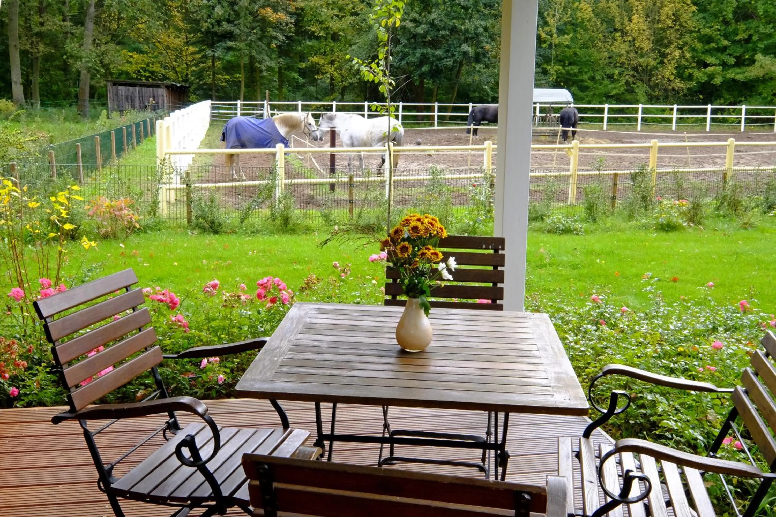 Horse-riding in Hotel Gut Klostermühle natur resort & medical spa