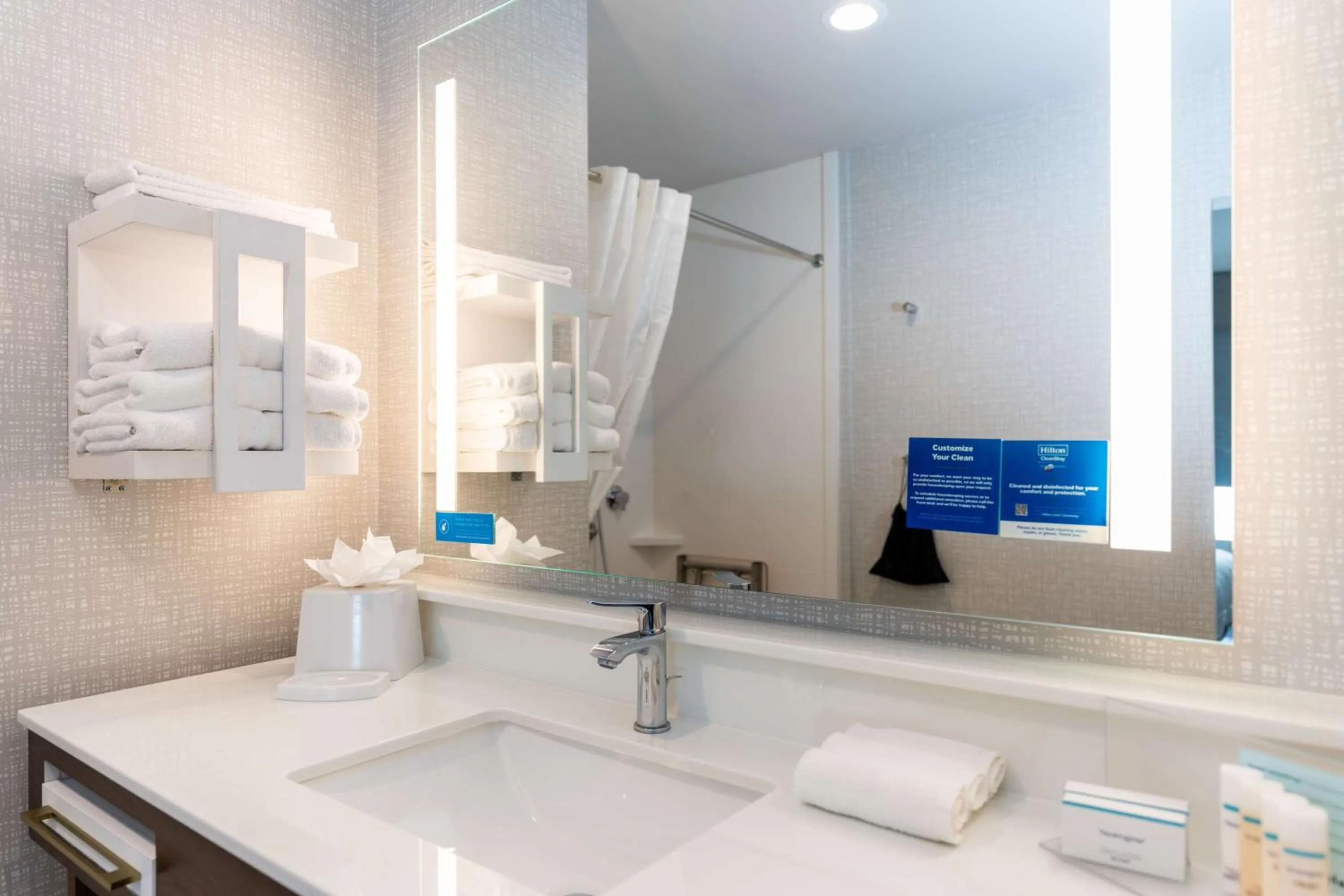 Bathroom in Hampton Inn & Suites Houston Sugar Land, Tx