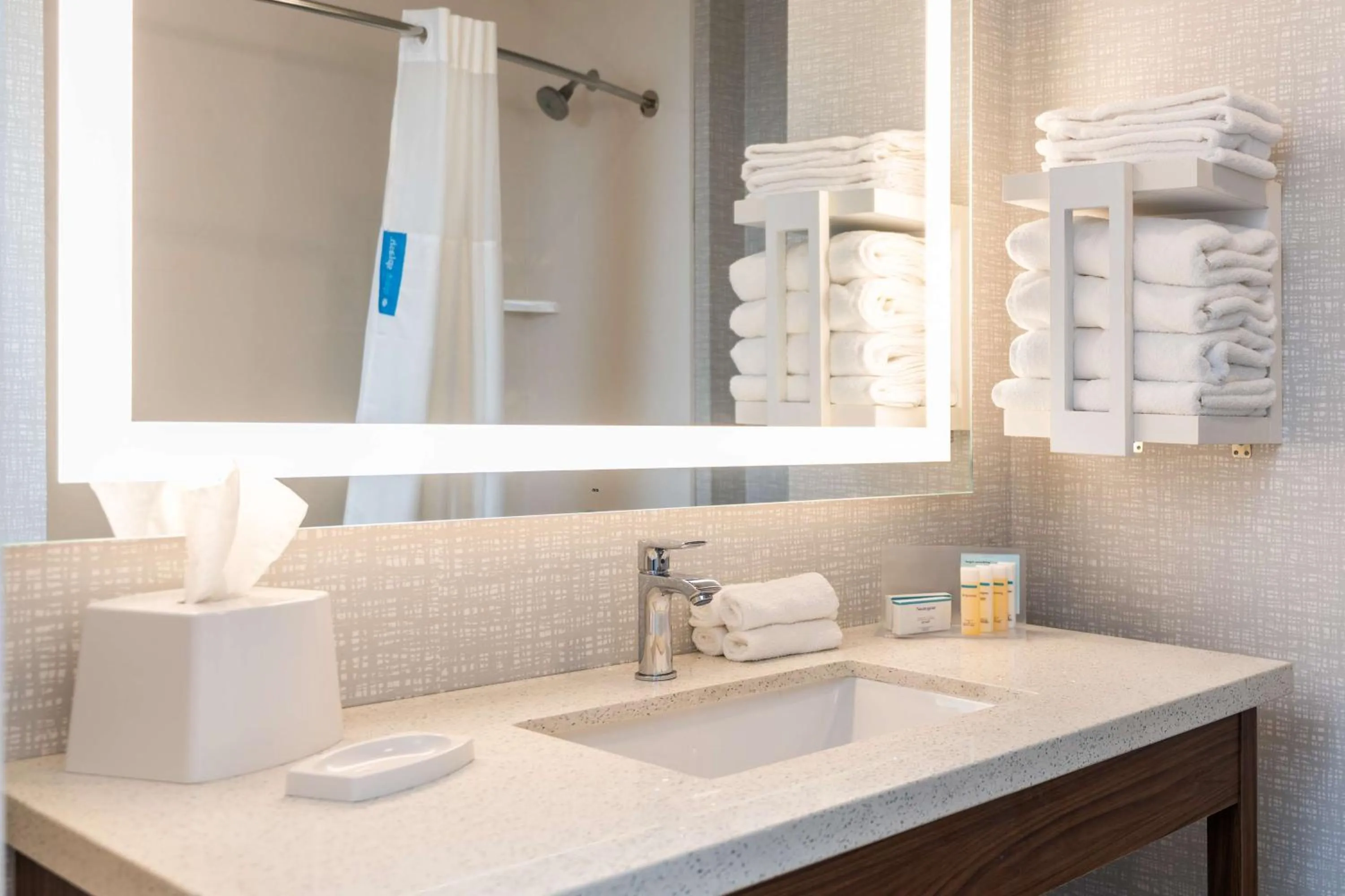 Bathroom in Hampton Inn & Suites Houston Sugar Land, Tx