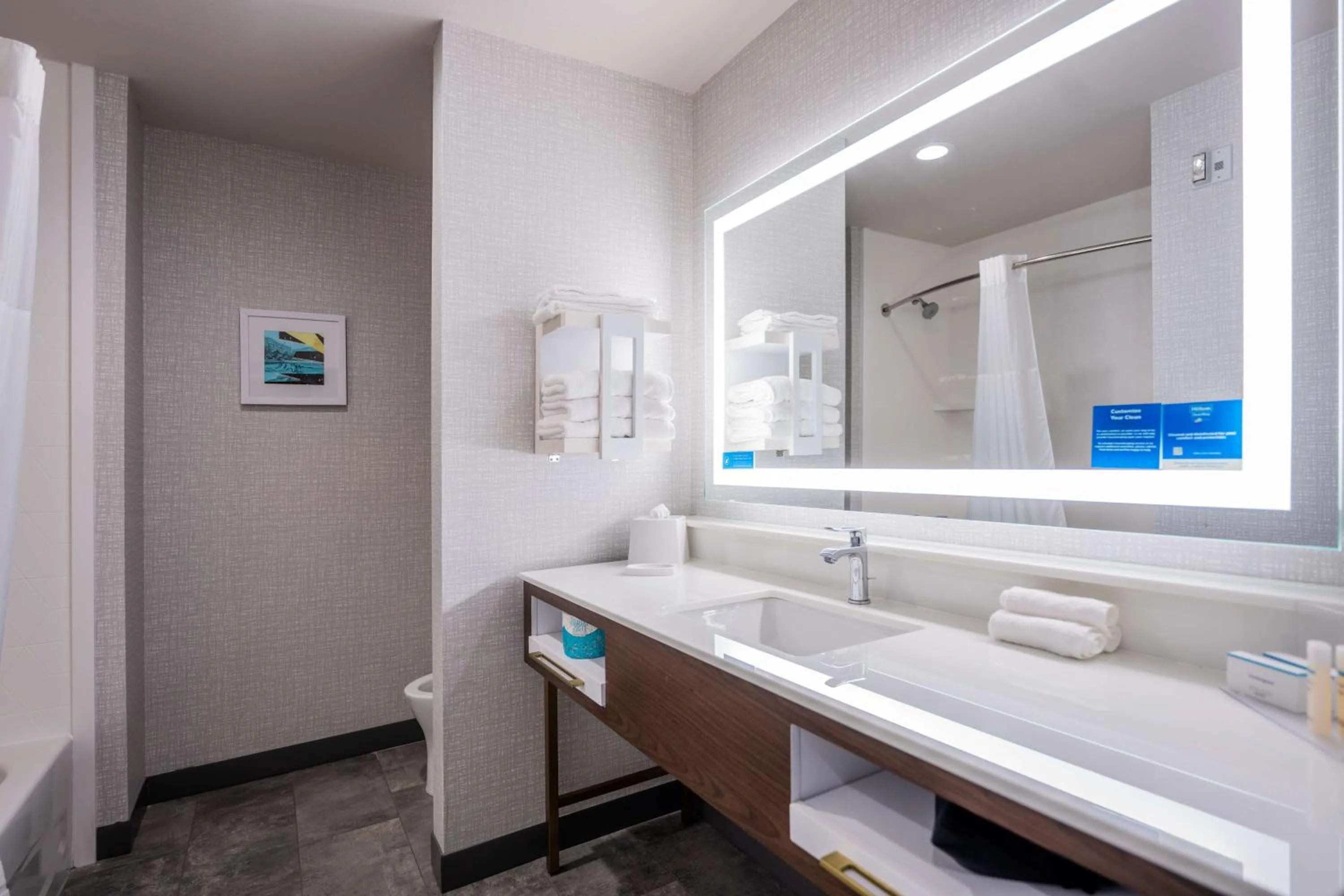 Bathroom in Hampton Inn & Suites Houston Sugar Land, Tx