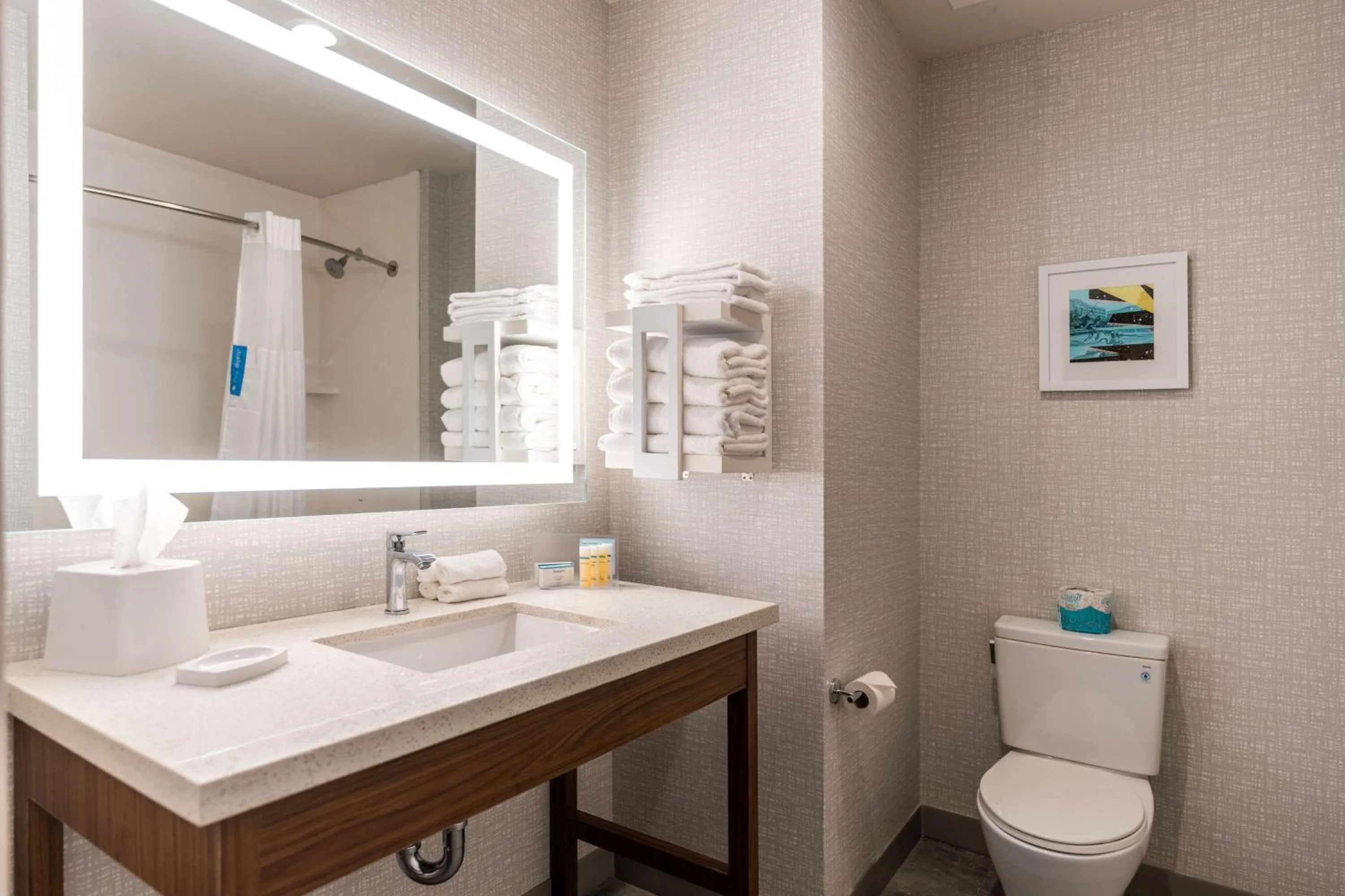 Bathroom in Hampton Inn & Suites Houston Sugar Land, Tx