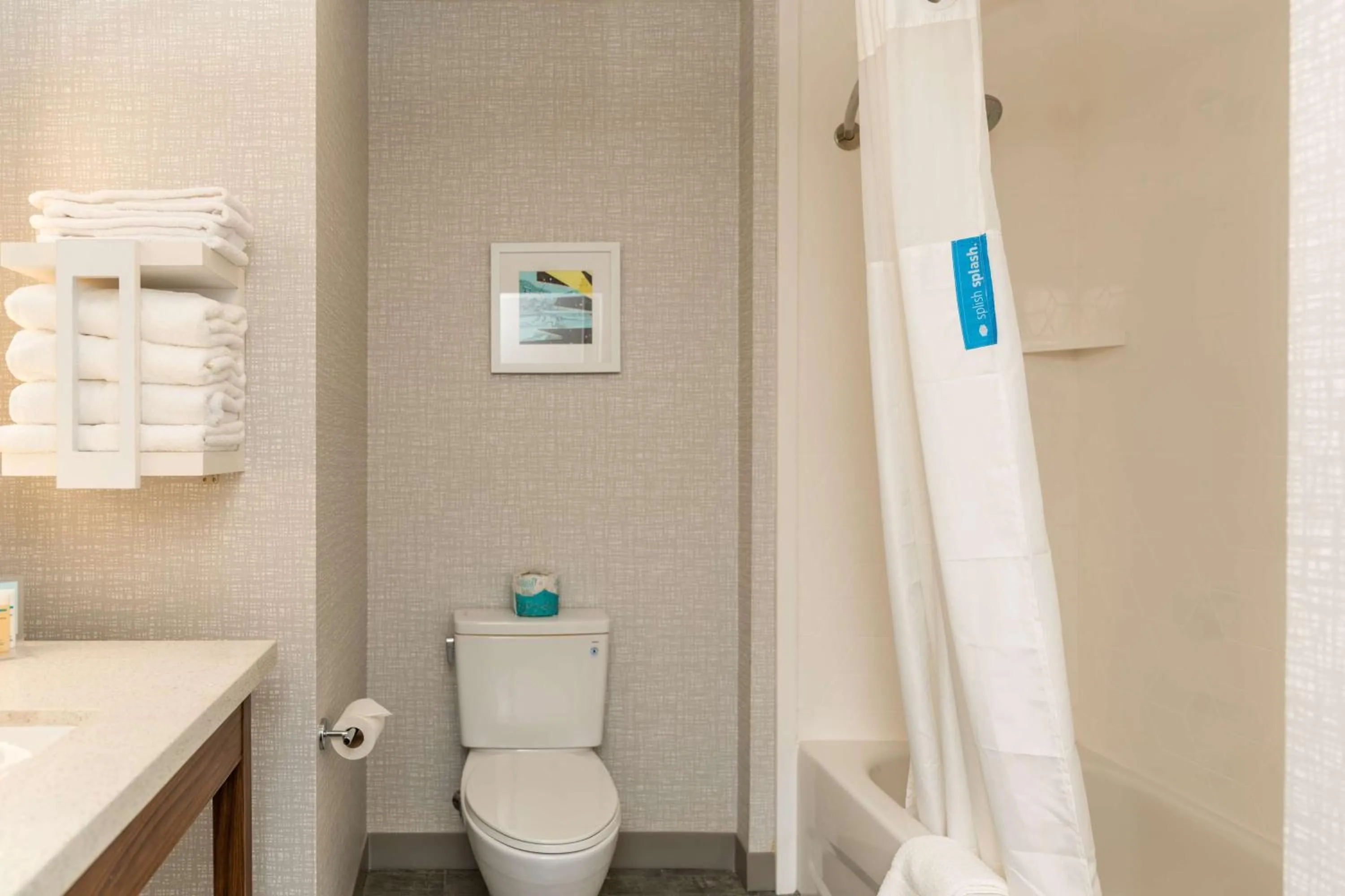 Bathroom in Hampton Inn & Suites Houston Sugar Land, Tx