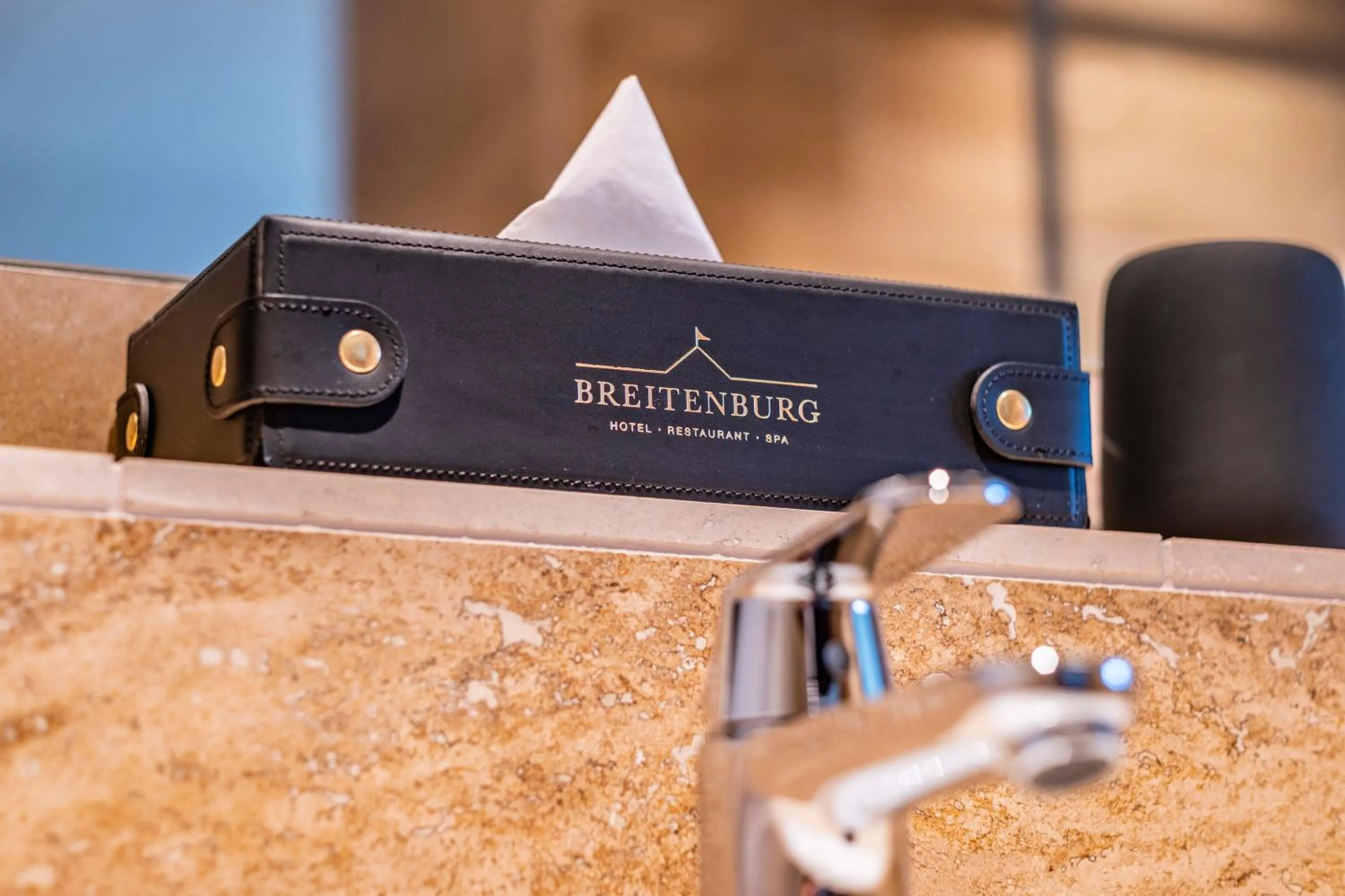 Decorative detail in Hotel Breitenburg