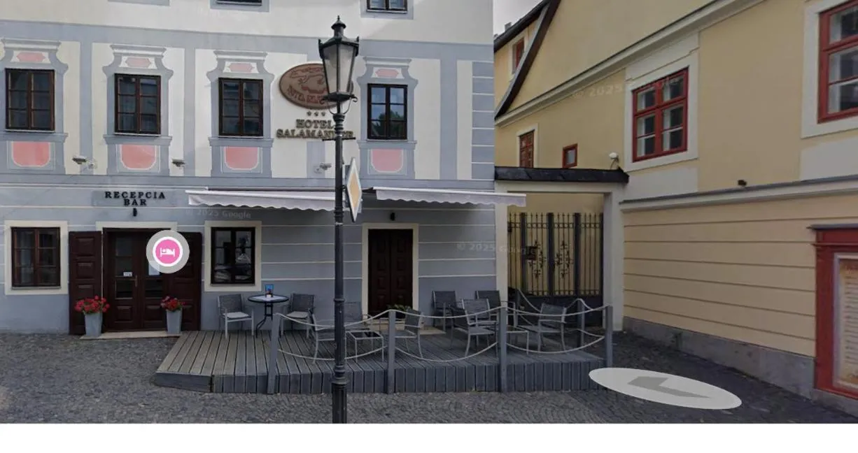 Hotel Salamander - Garni