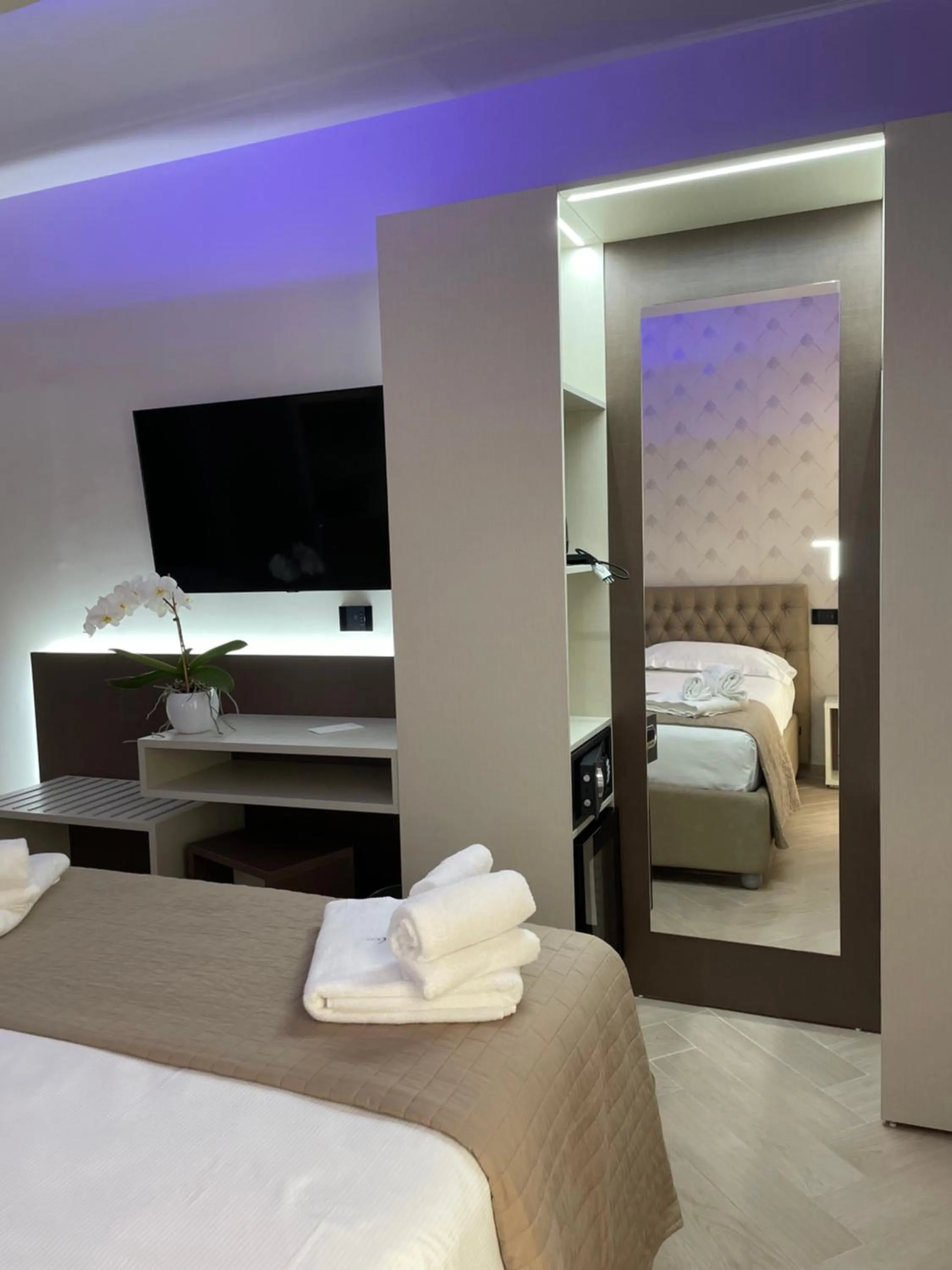 TV and multimedia in B&B L'Orchidea