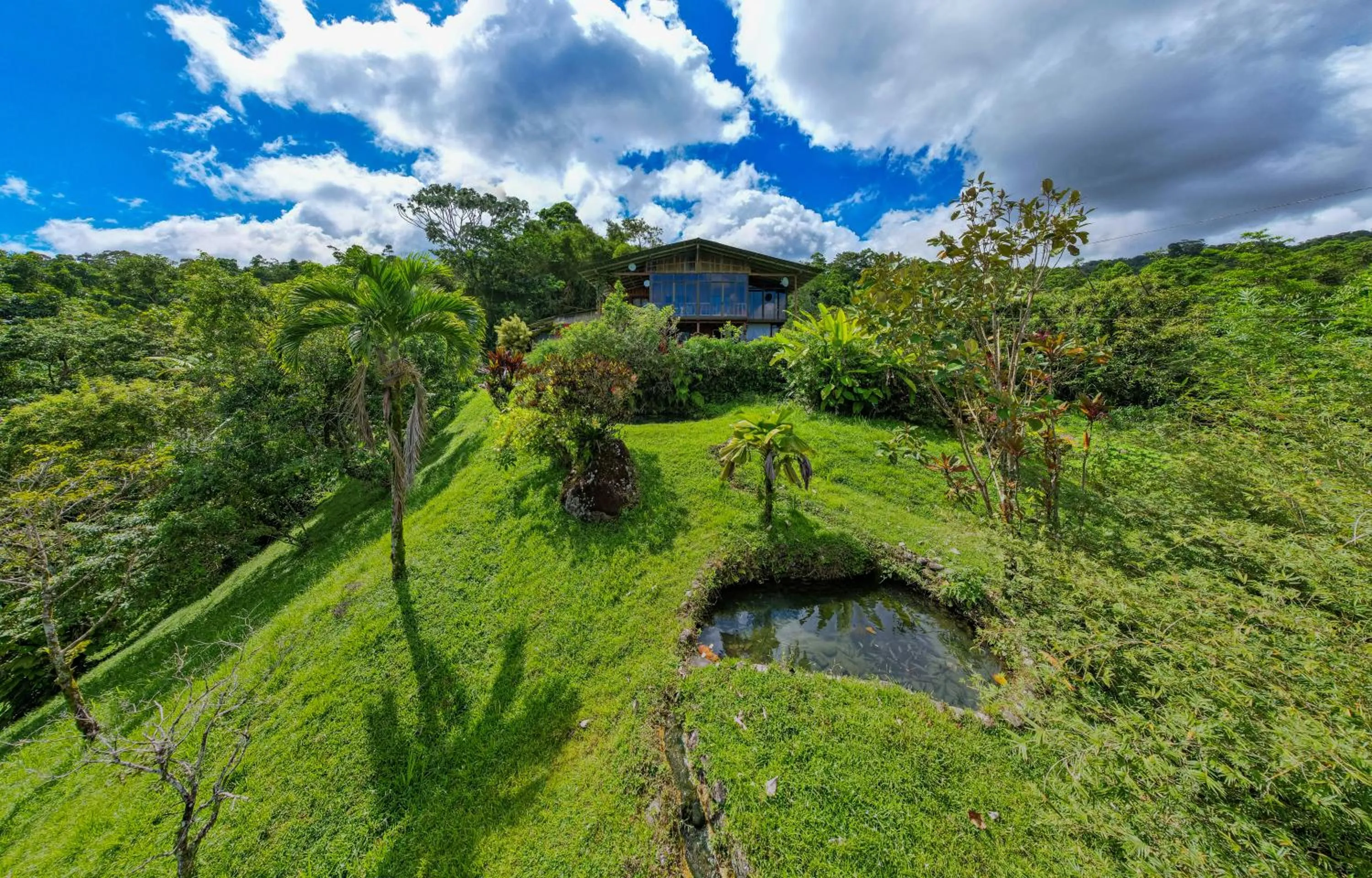 Birds & Breakfast Costa Rica