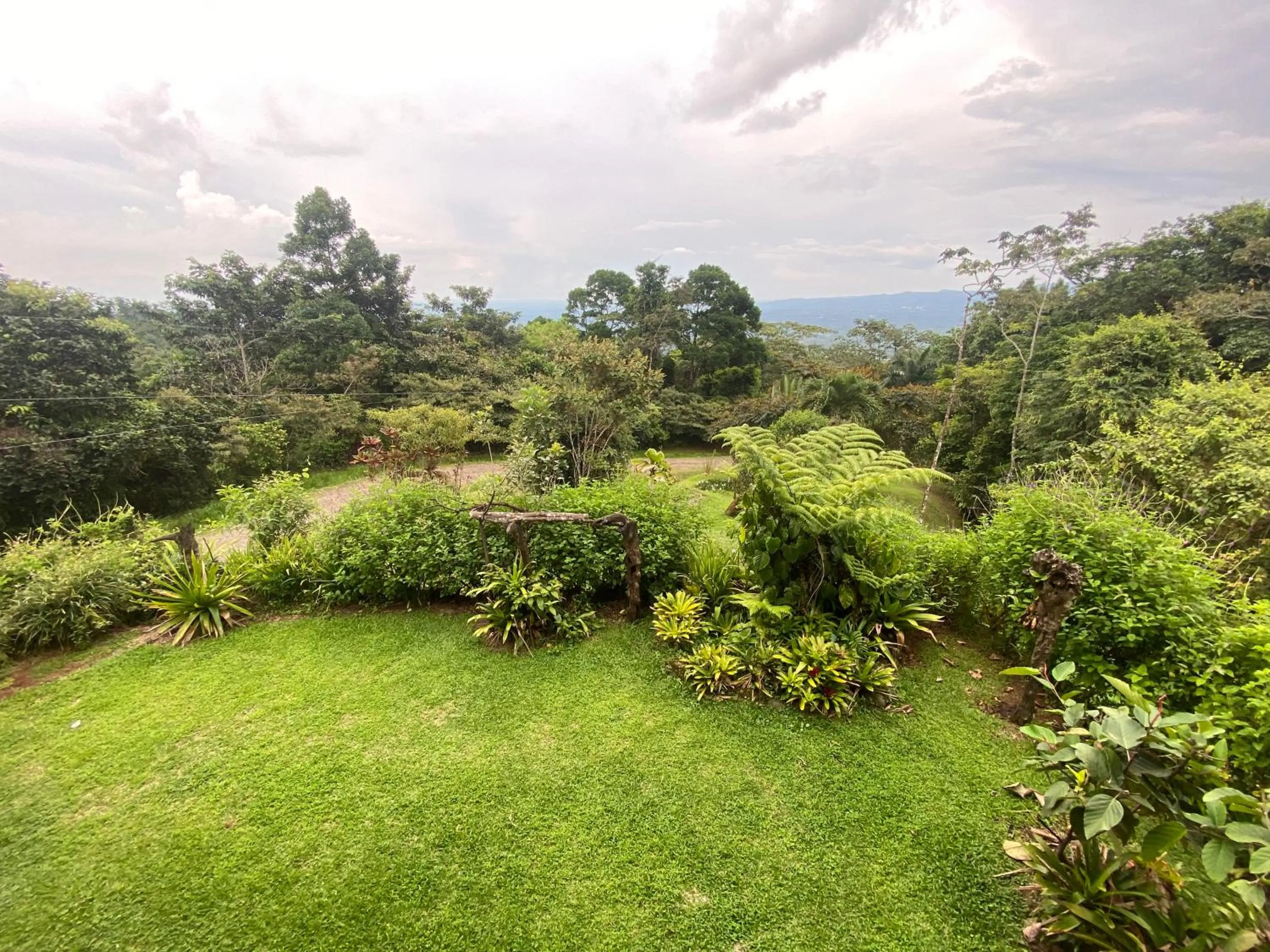 Birds & Breakfast Costa Rica