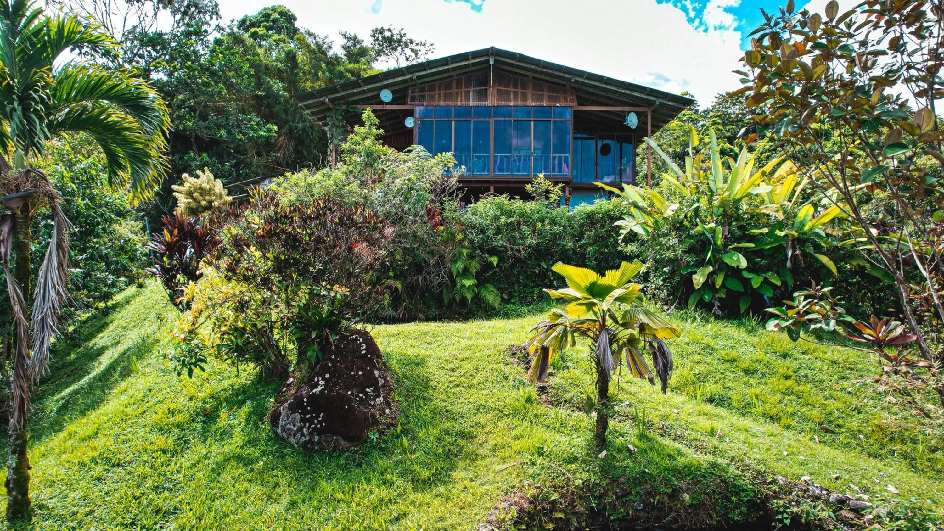 Birds & Breakfast Costa Rica