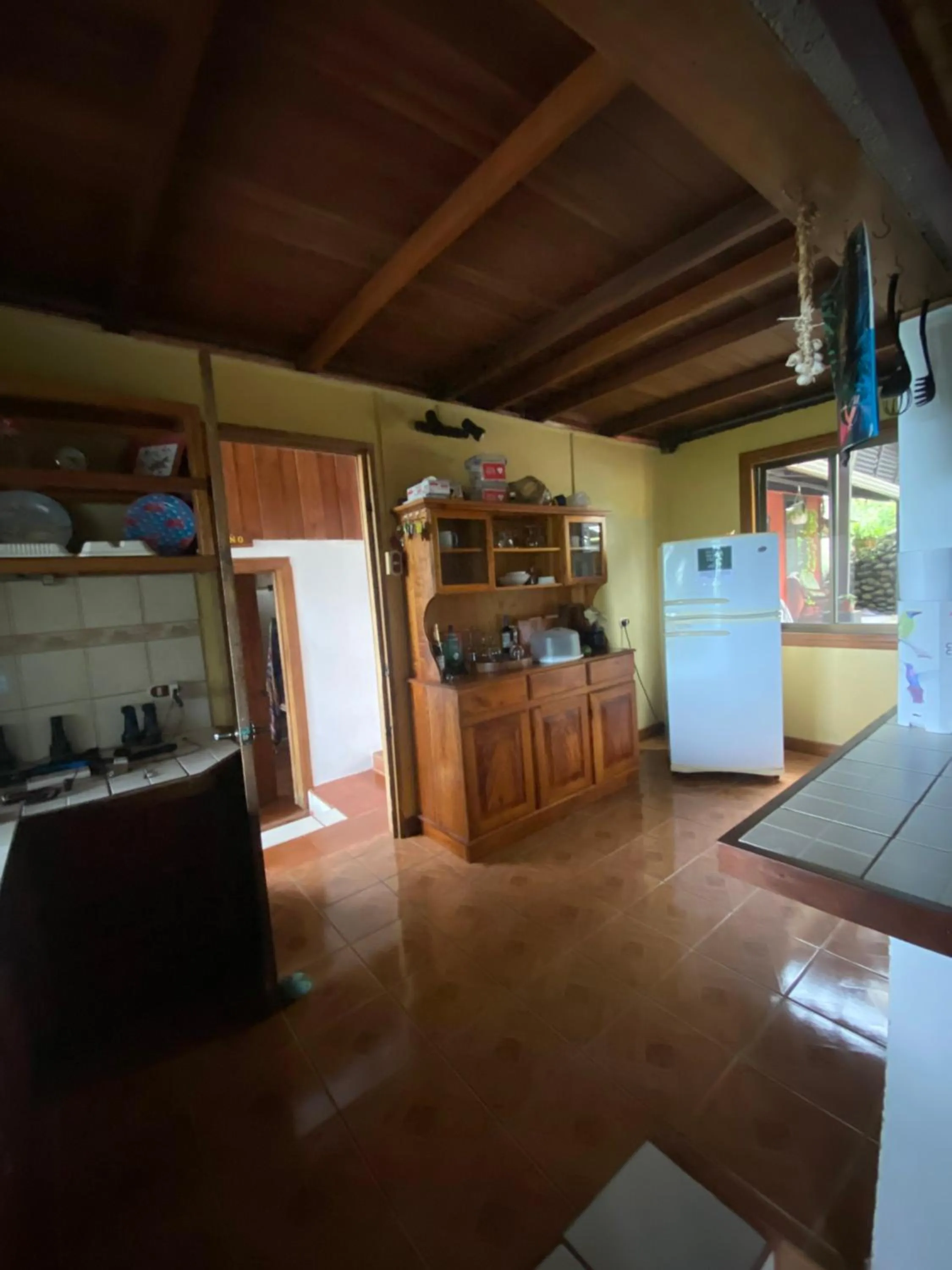 Birds & Breakfast Costa Rica