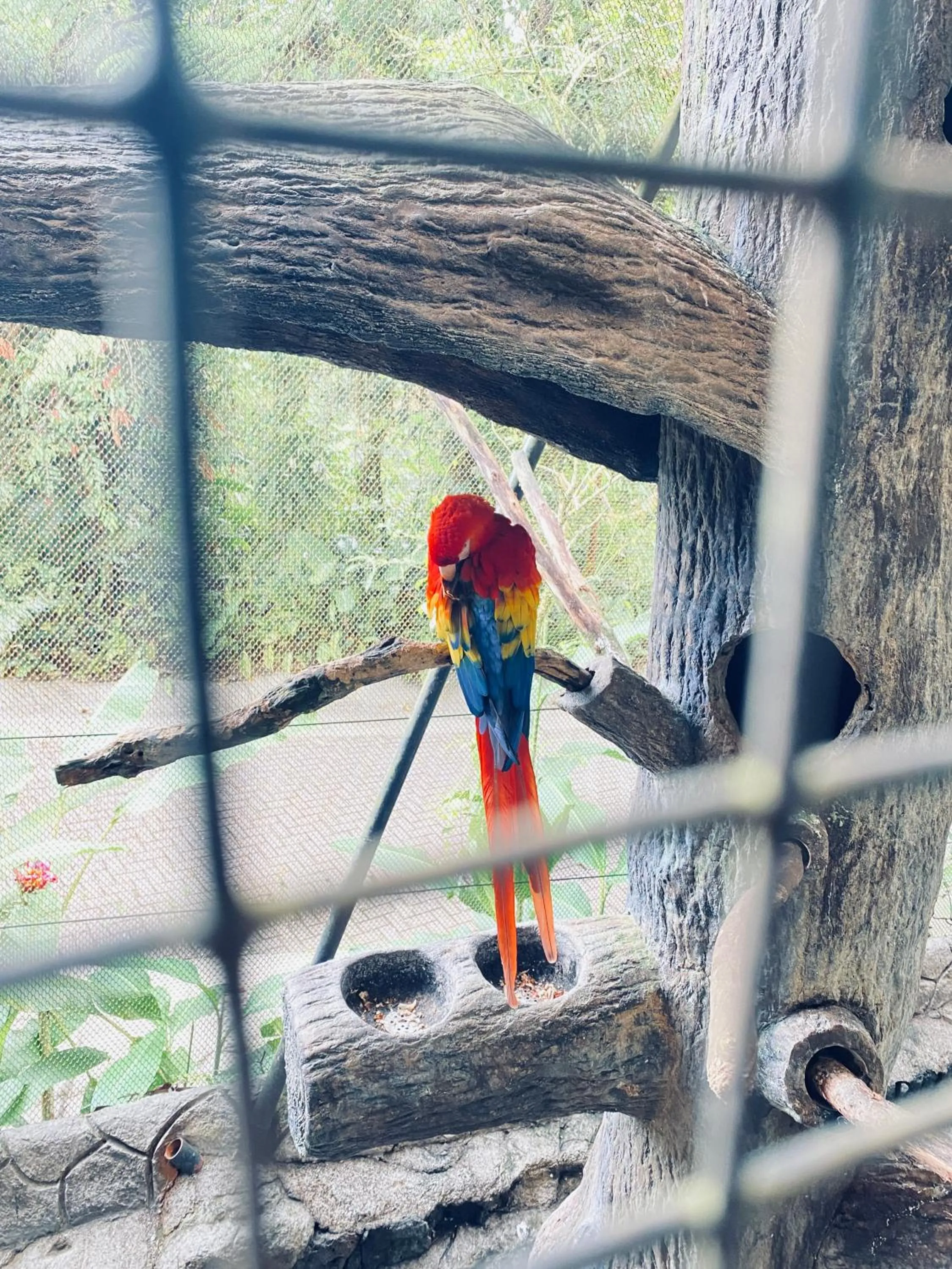 Nearby landmark in Park View Hotel & Restaurant