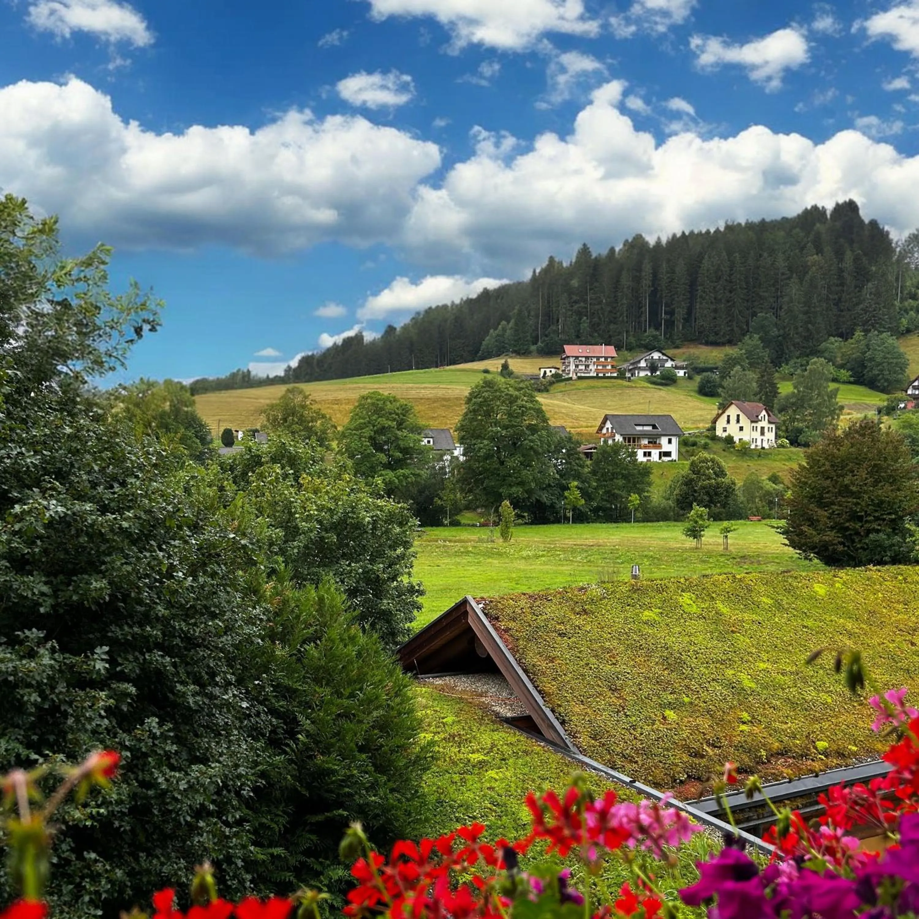 Mountain view in Hotel Lamm Baiersbronn Mitteltal