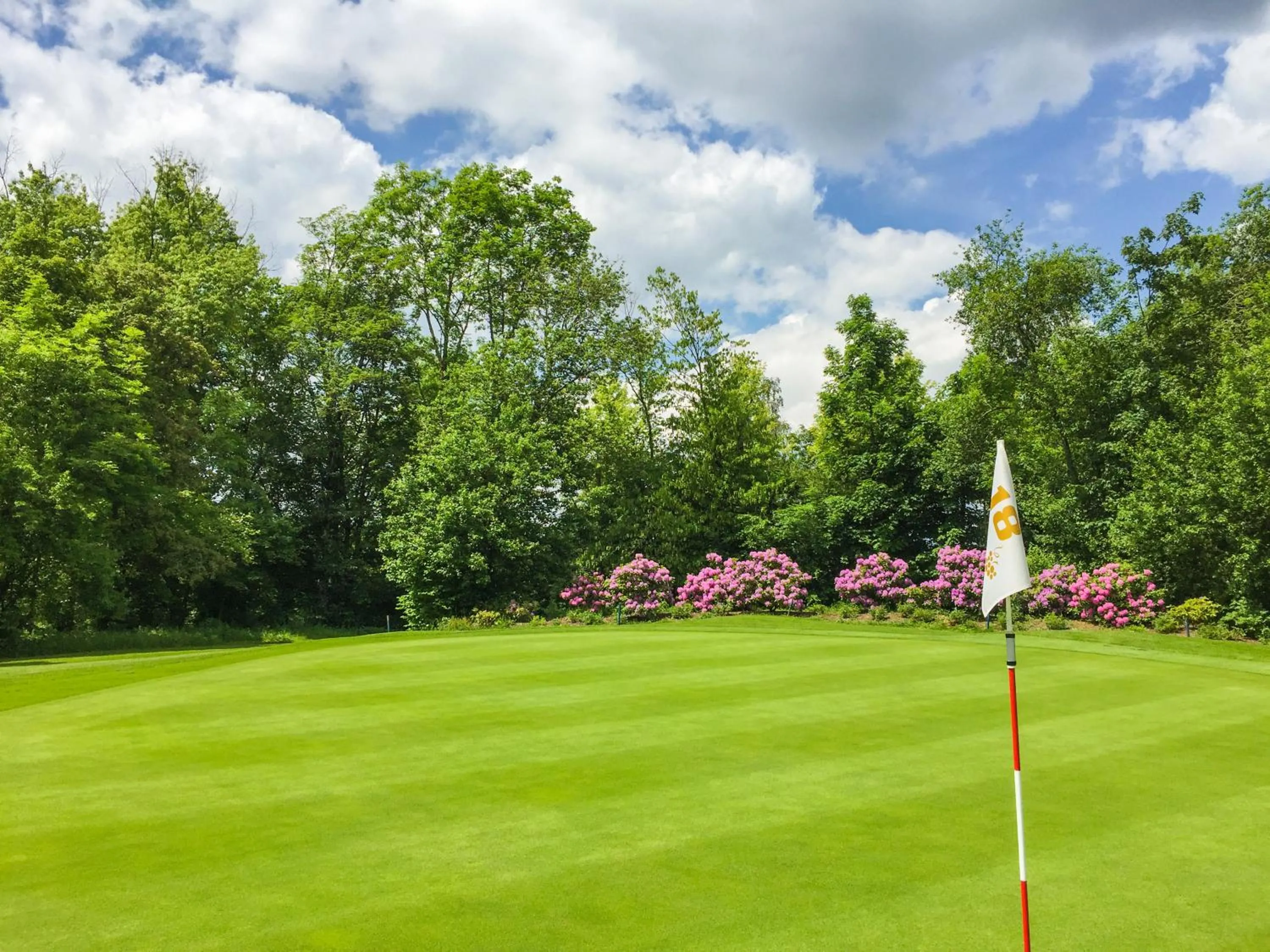Golfcourse in Hotel Lamm Baiersbronn Mitteltal