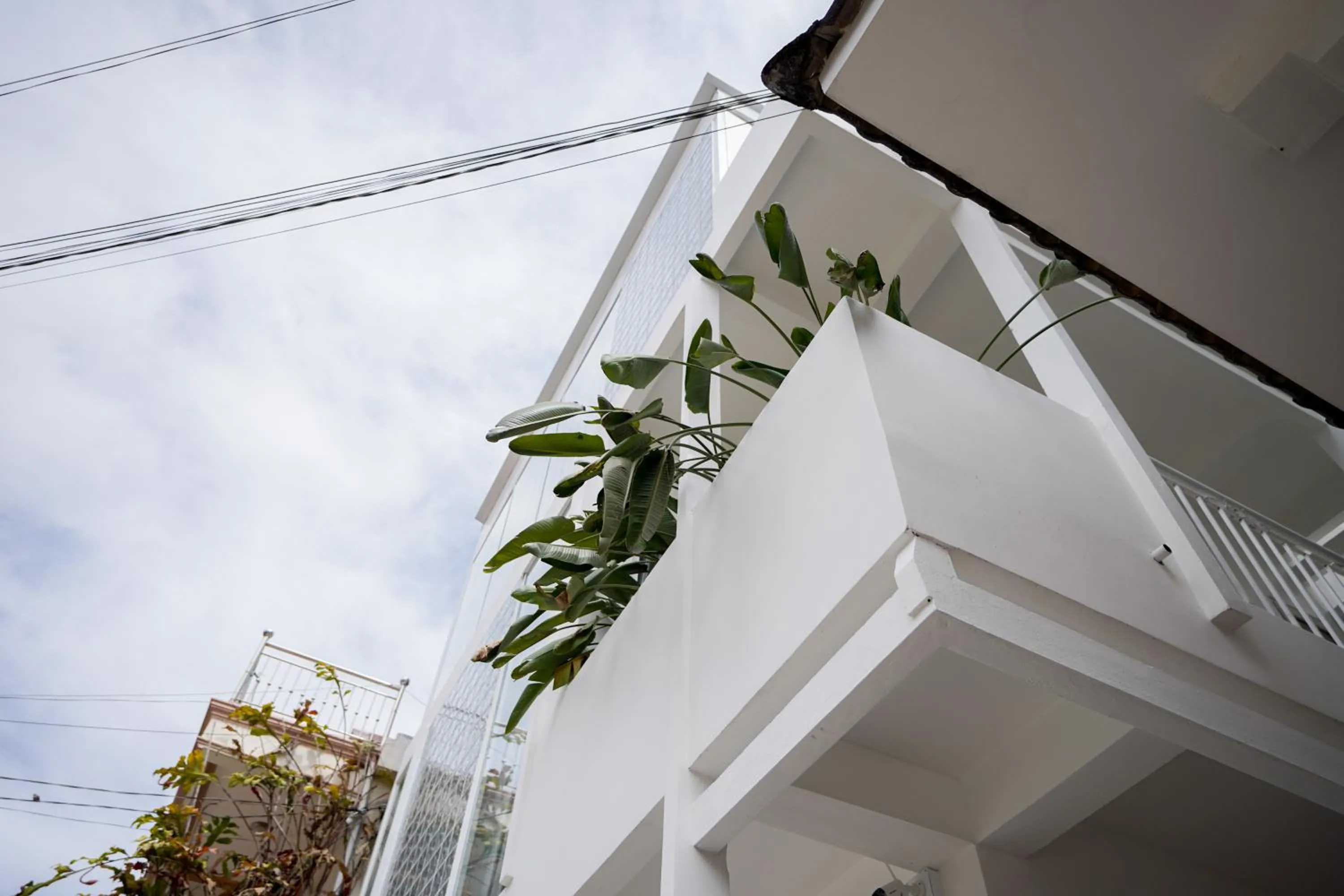 Property building in Whammy House Dalat