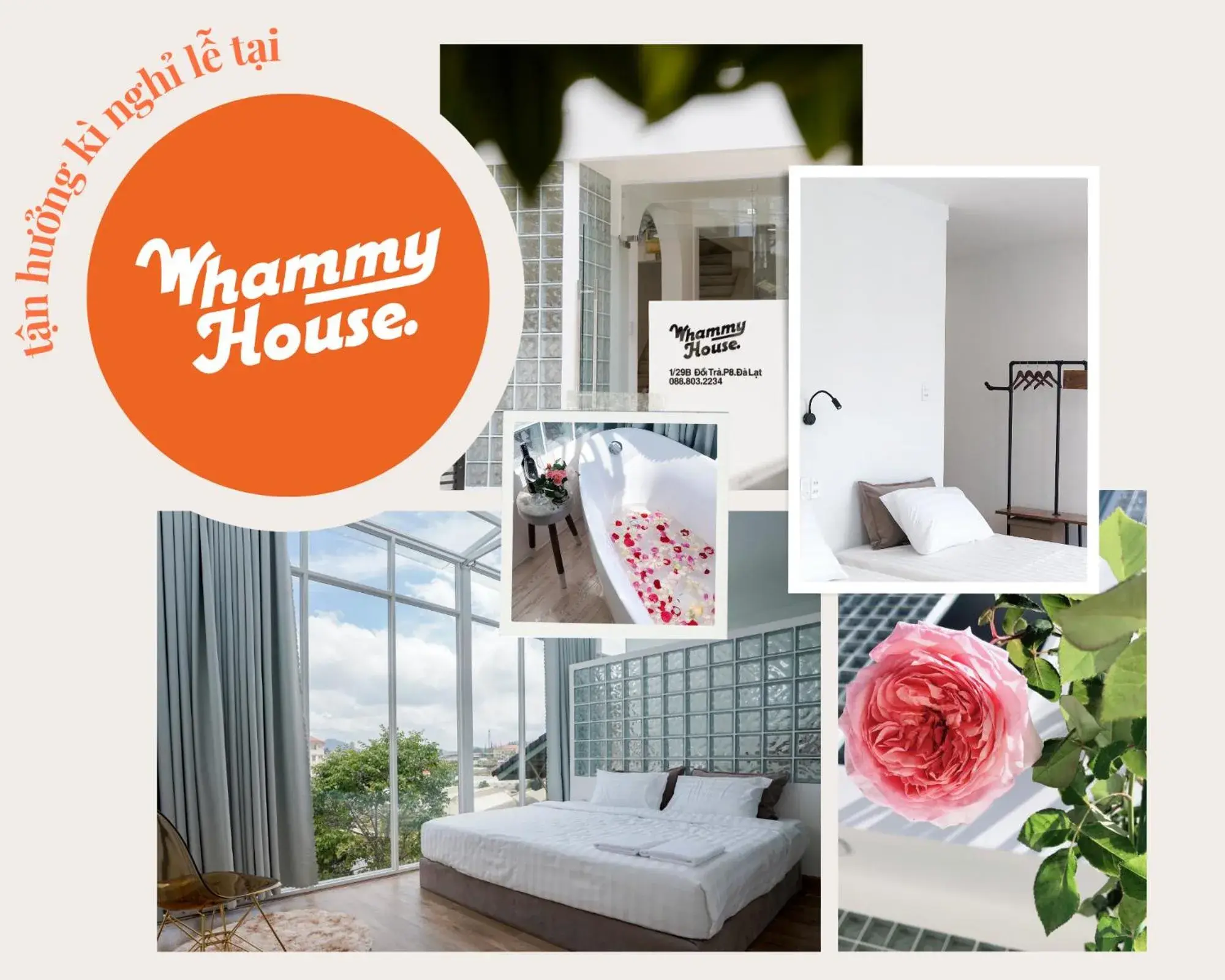 Whammy House Dalat Whammy House Dalat