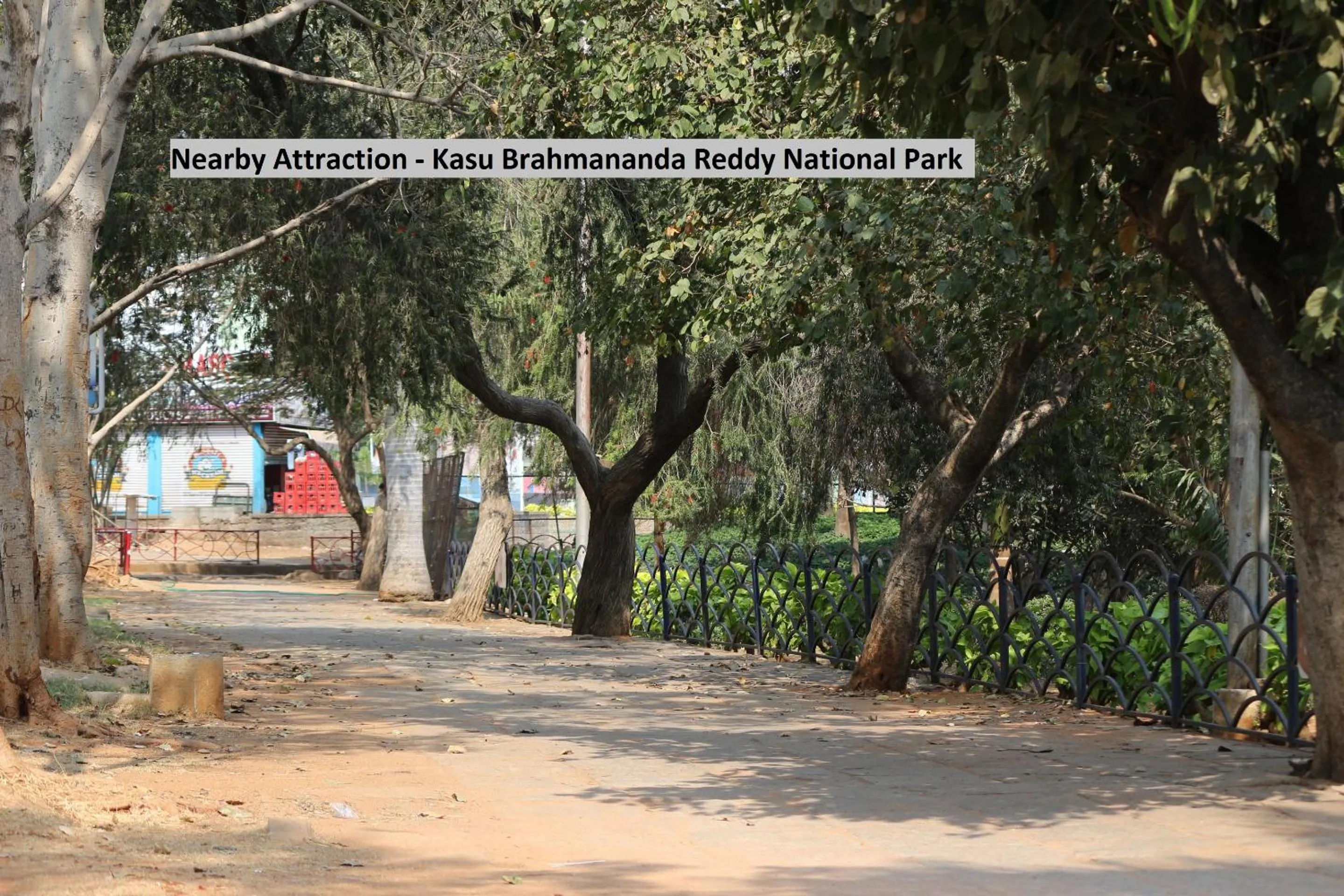 Nearby landmark in OYO Mint Leaves Near Alcazar Mall