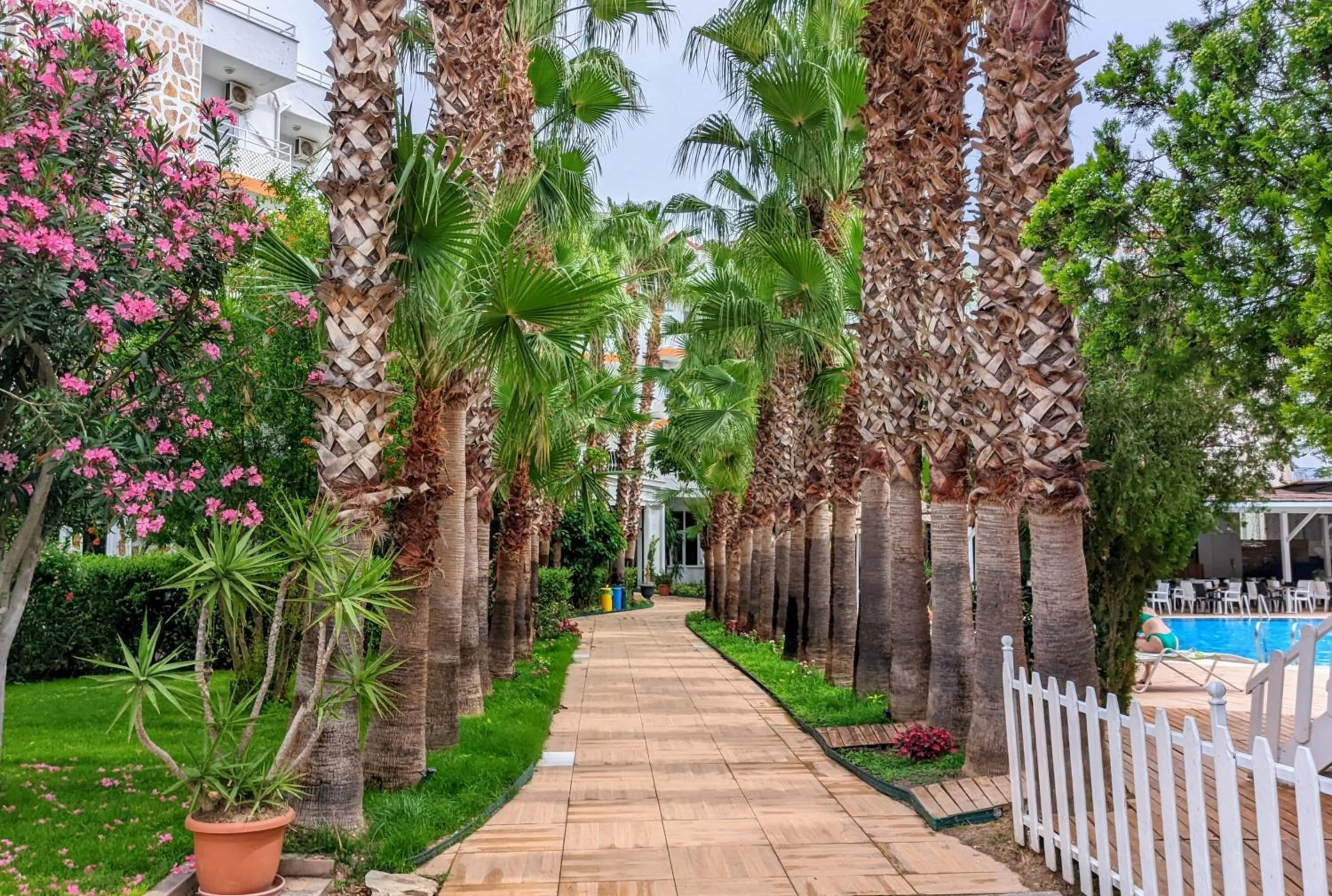 Natural landscape in UK Hotel Kiriş