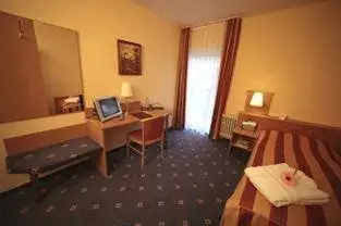 Single Room in Hotel Altenberg Single Room in Hotel Altenberg