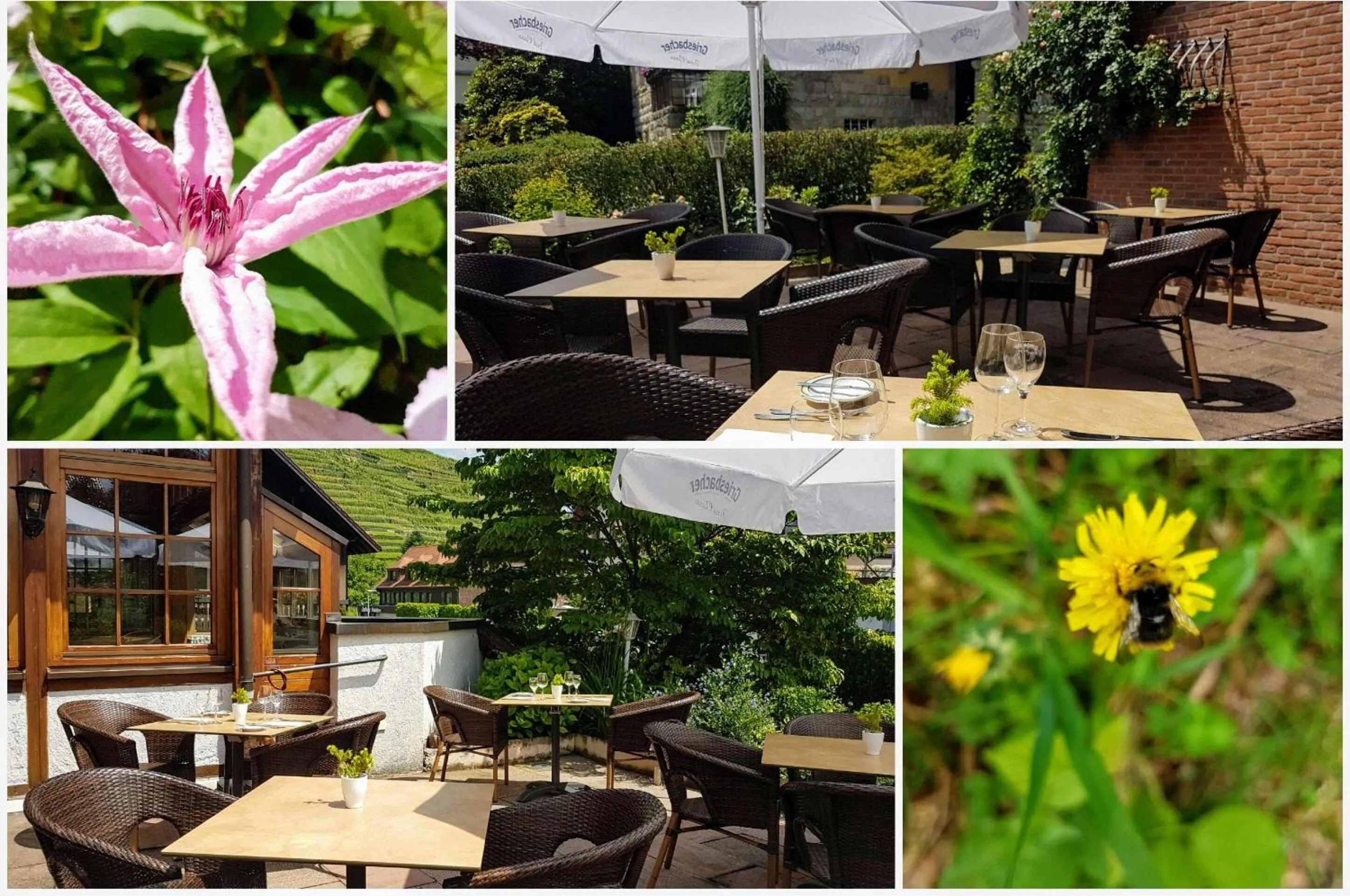Balcony/Terrace in Hotel Altenberg