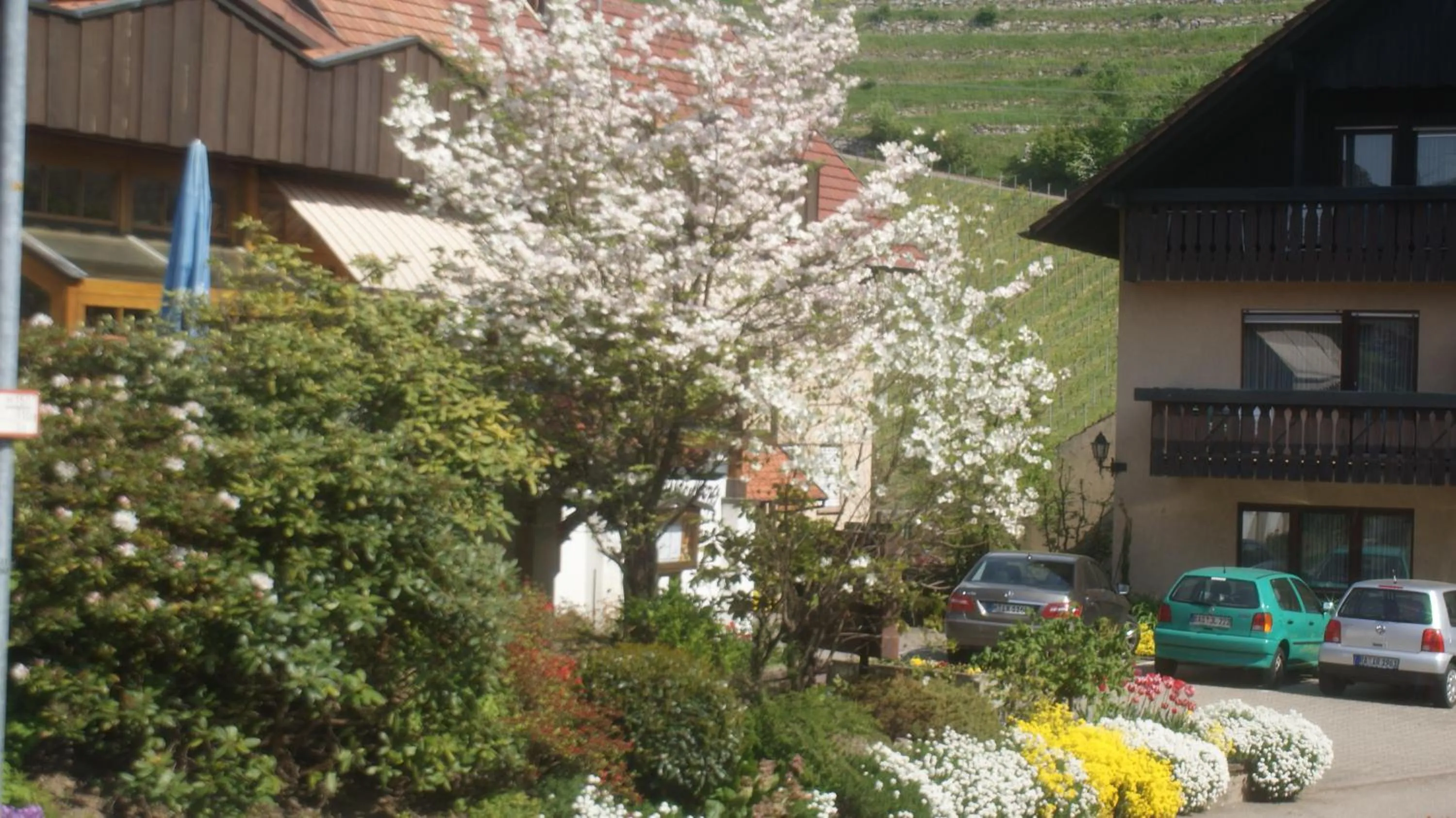 Property building in Hotel Altenberg