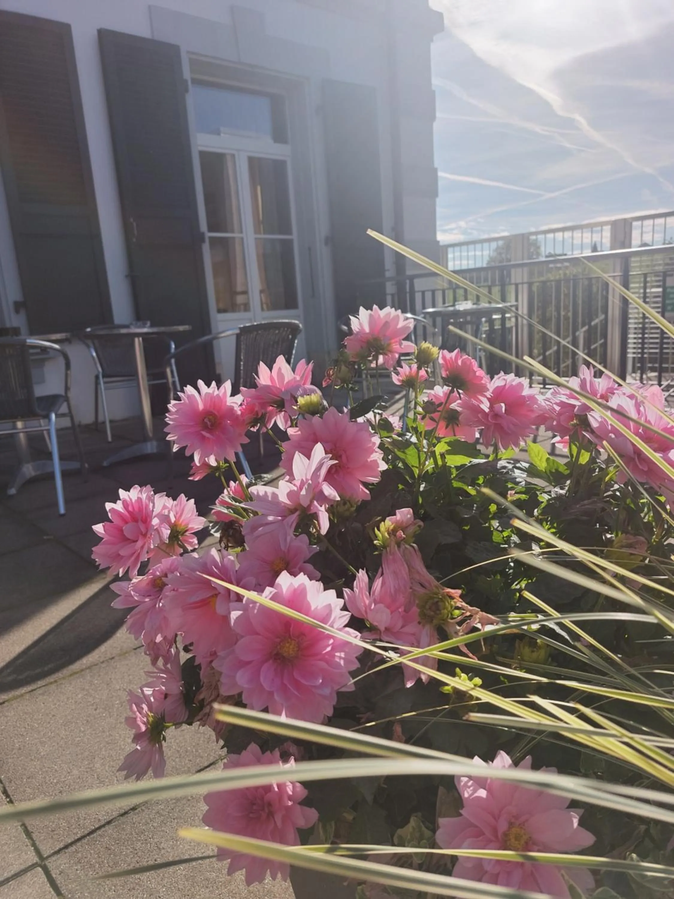 Hôtel Le Funi de Cossonay