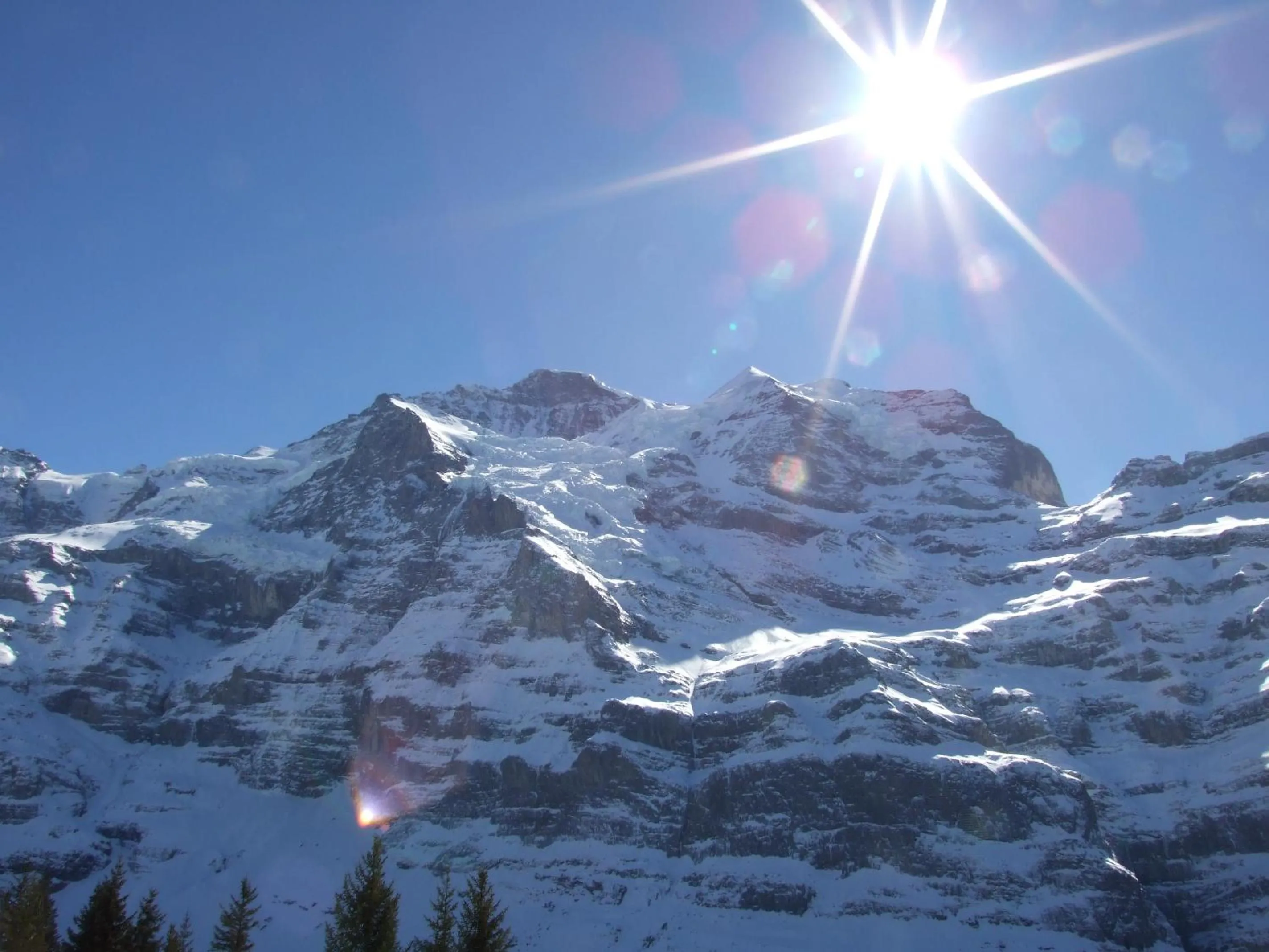 Natural landscape in Hotel Bellevue - Traditional Swiss Hideaway
