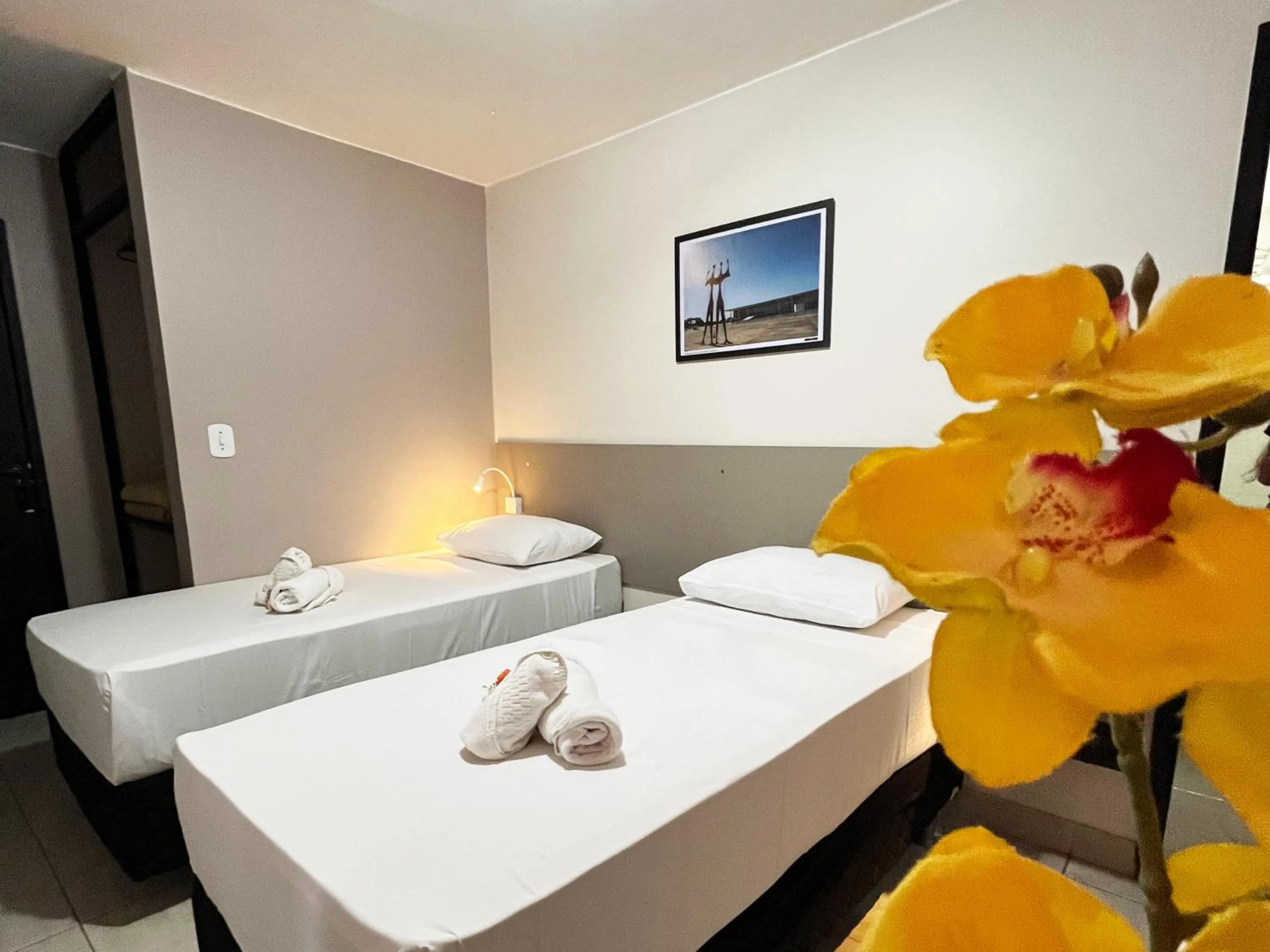 Bed in Hotel Montana Aeroporto by Bsb Inn