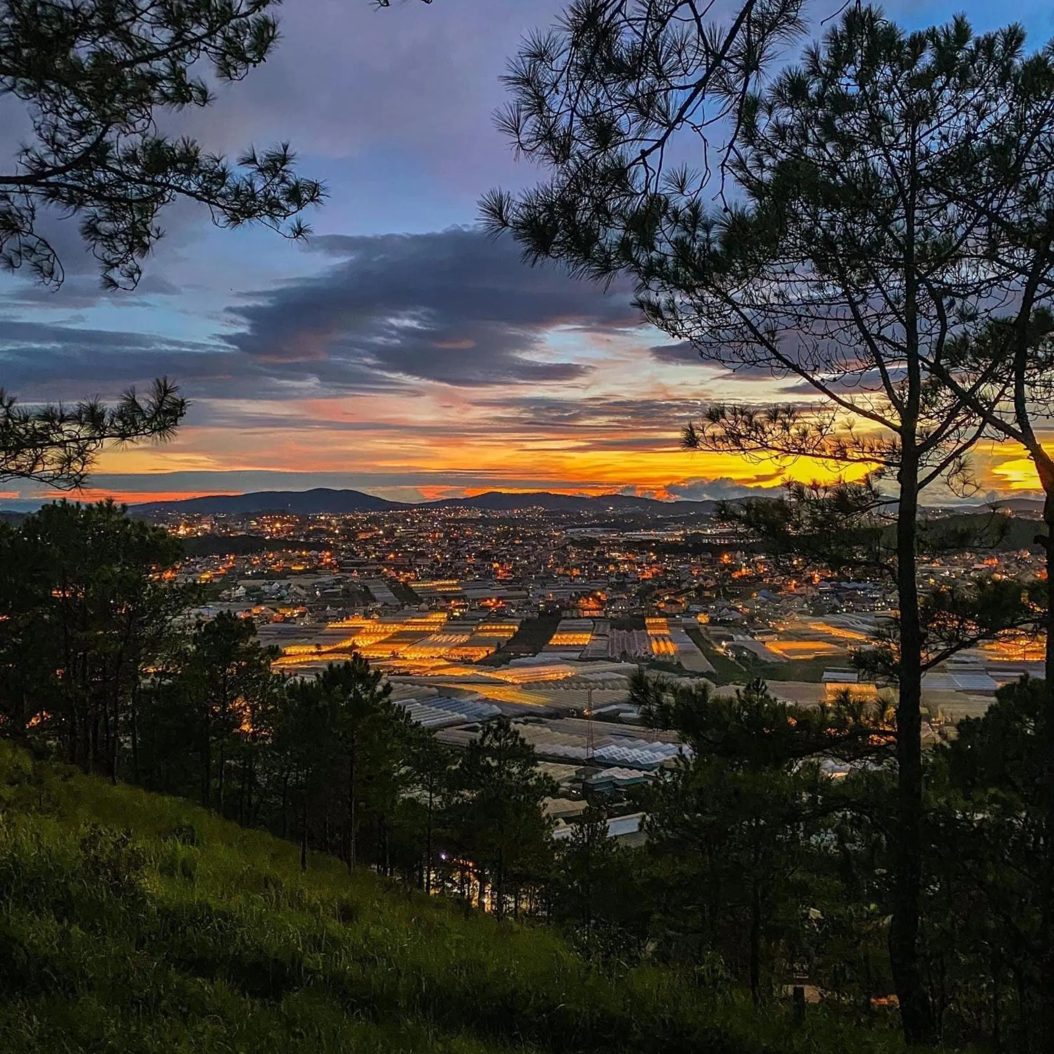 Hoàng Yến Villa Dalat