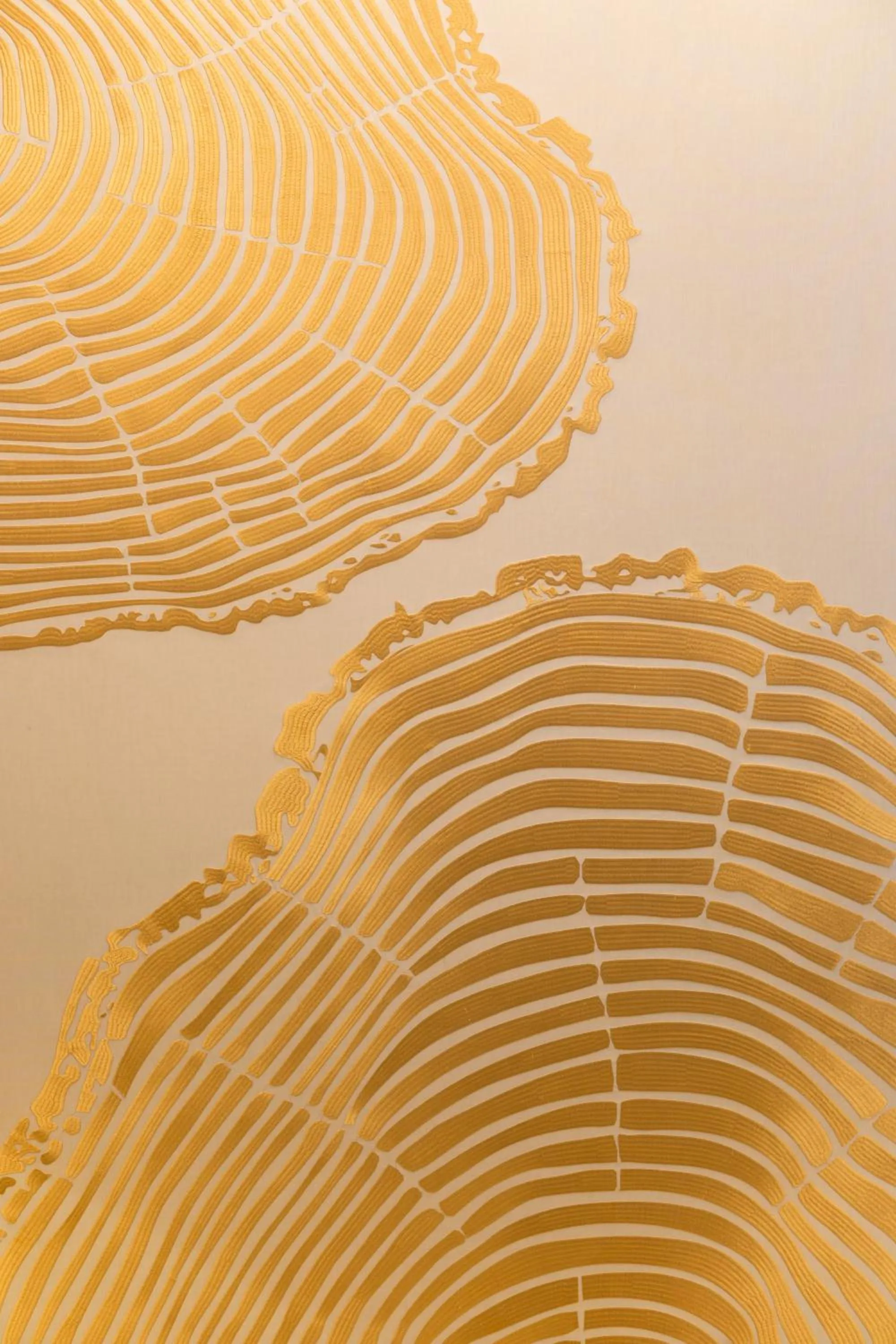 elevator in Melia Chongqing