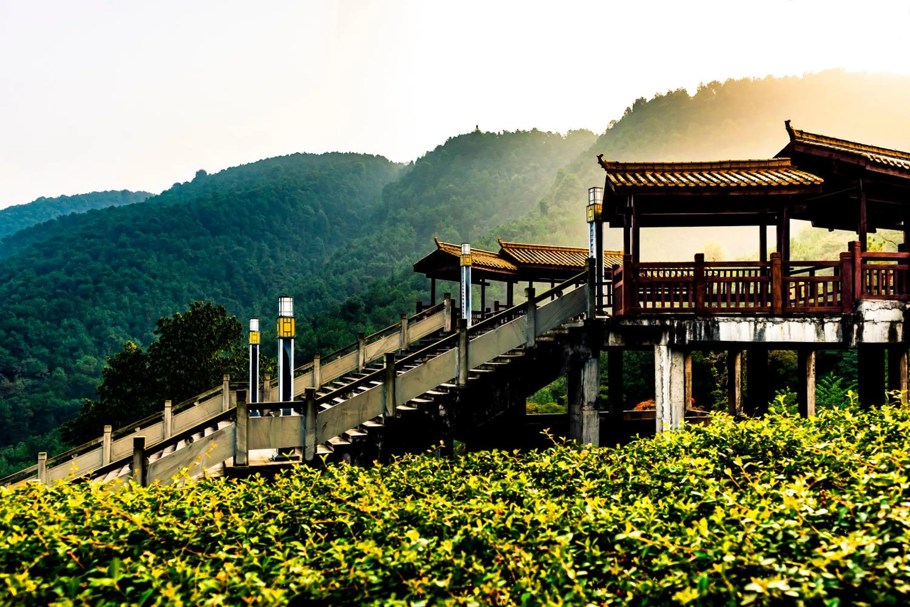 Hiking in Melia Chongqing