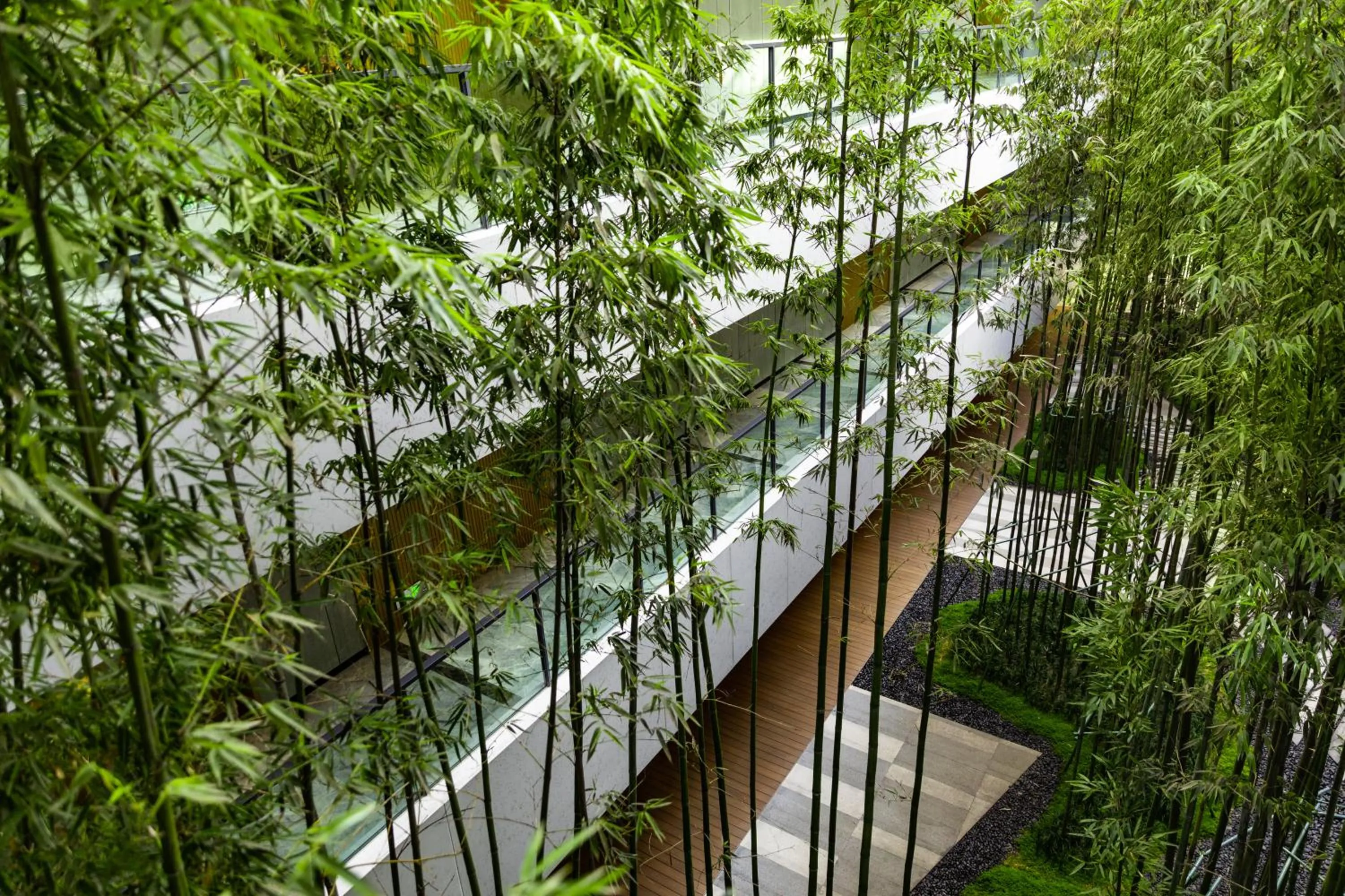 Balcony/Terrace in Melia Chongqing