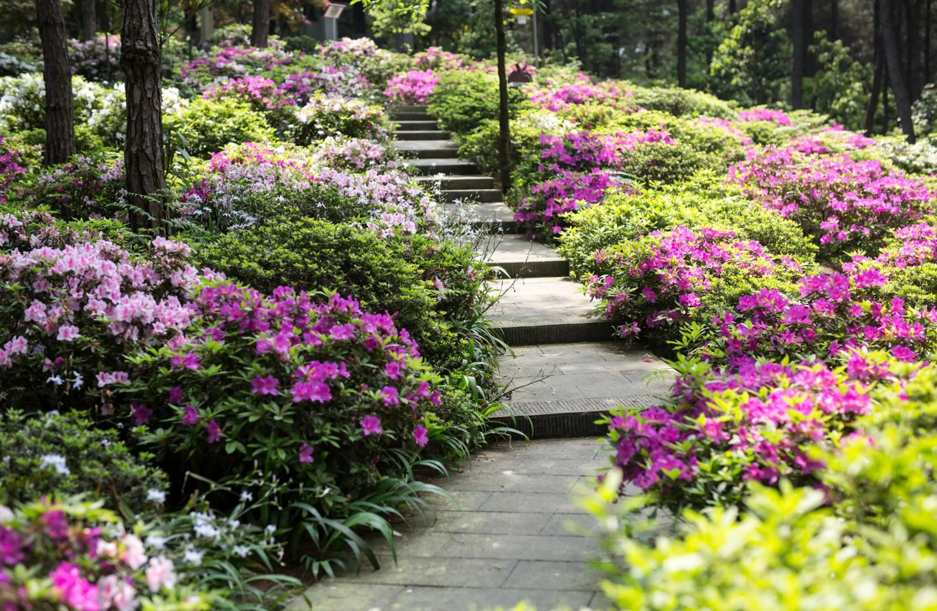 Hiking in Melia Chongqing