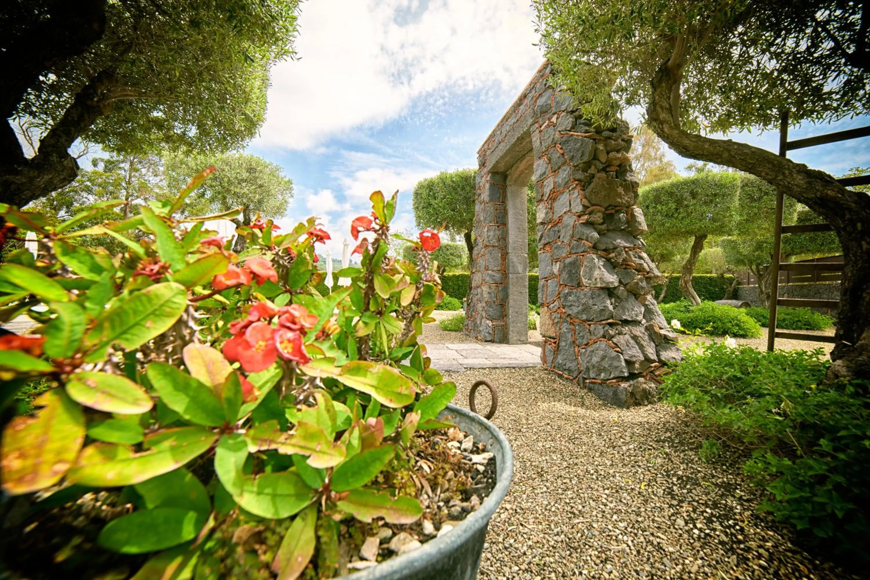 Garden in Il Casale di Monacella