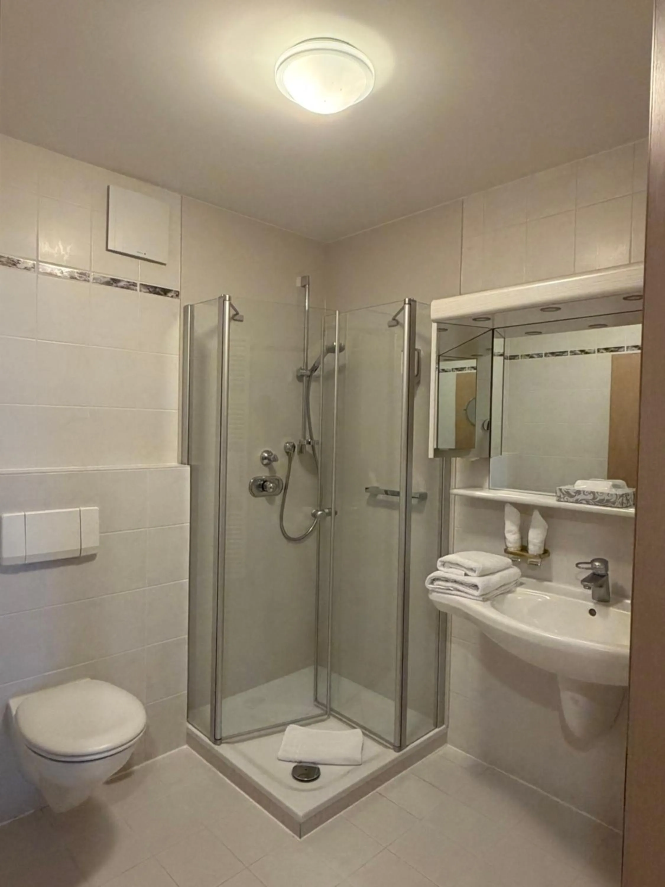 Shower in Hotel-Restaurant Hirsch