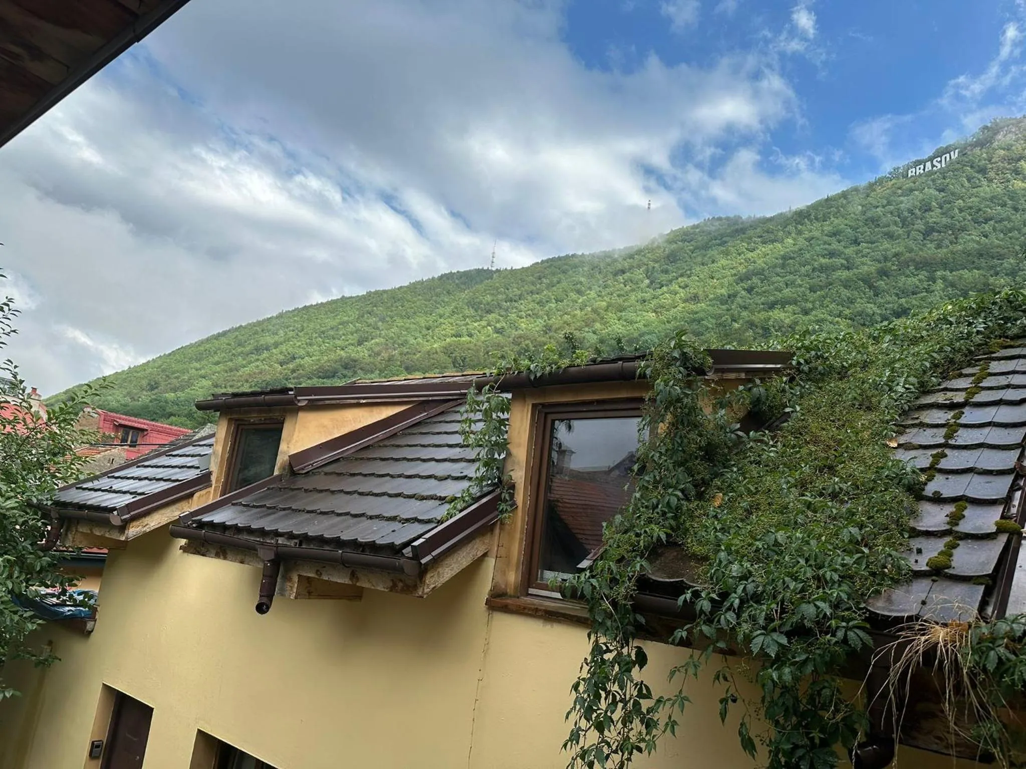 View (from property/room) in ALBERT RESIDENCE Brasov with complimentary parking off site