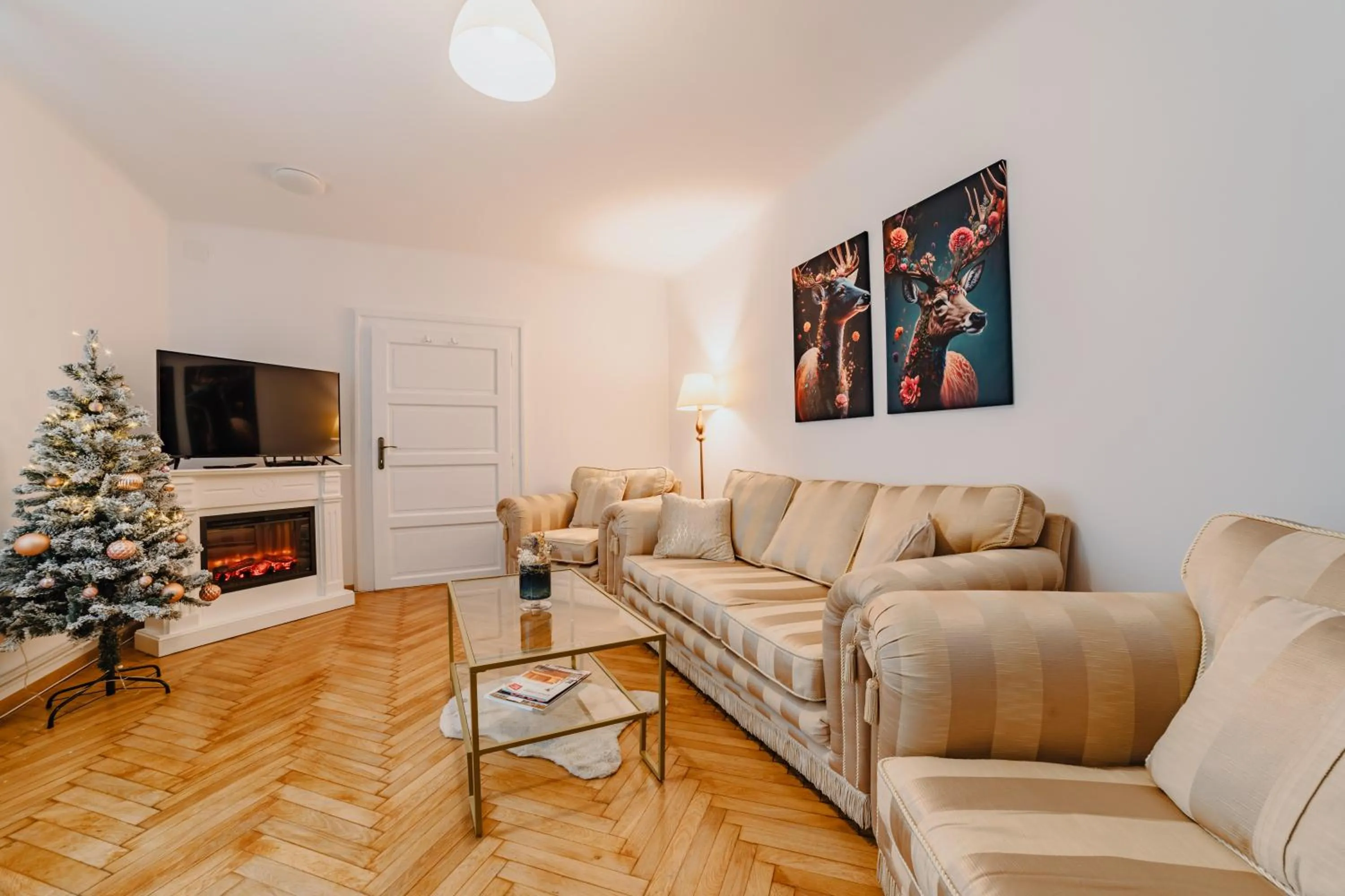 TV and multimedia in ALBERT RESIDENCE Brasov with complimentary parking off site