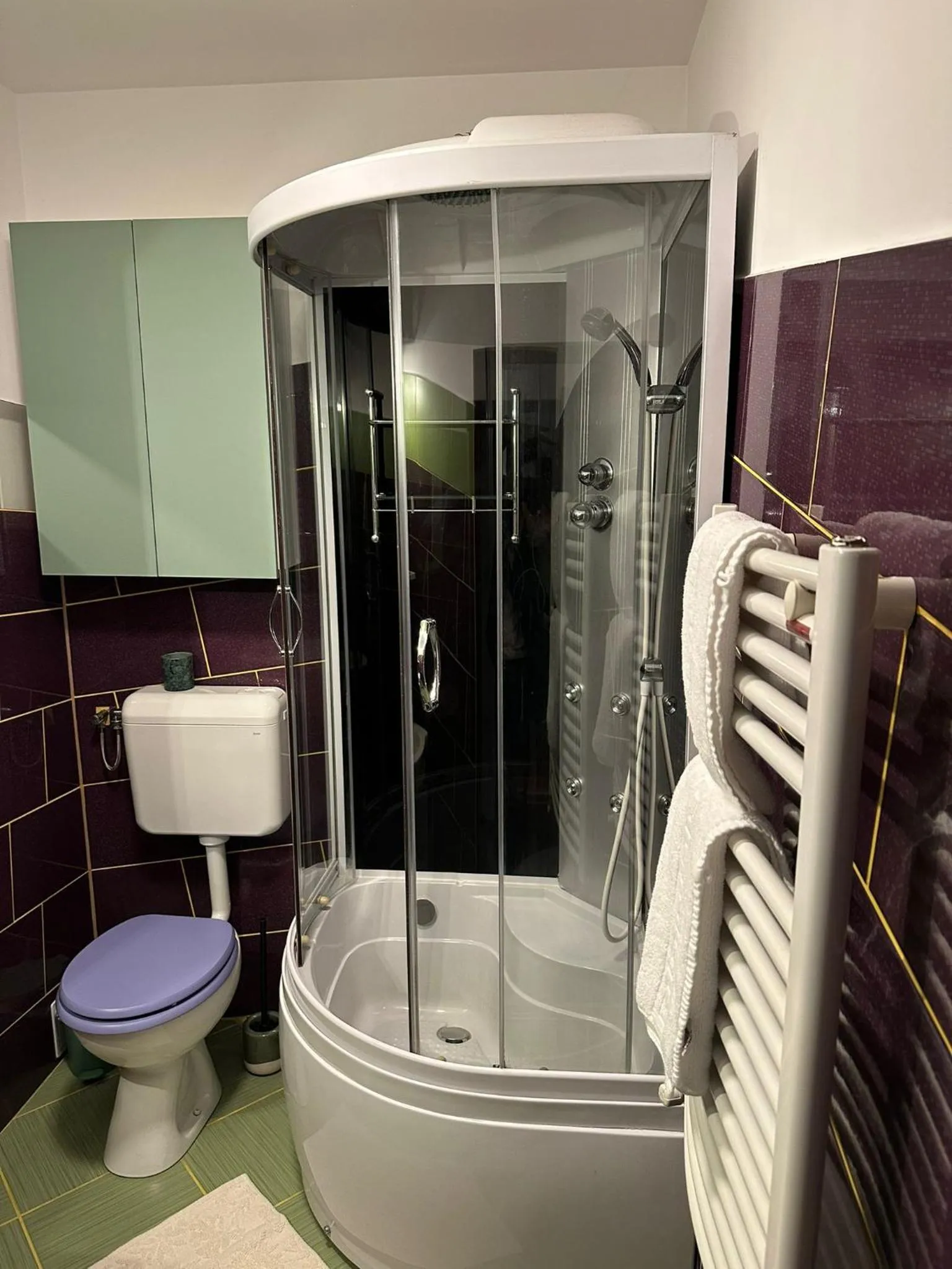 Shower in ALBERT RESIDENCE Brasov with complimentary parking off site