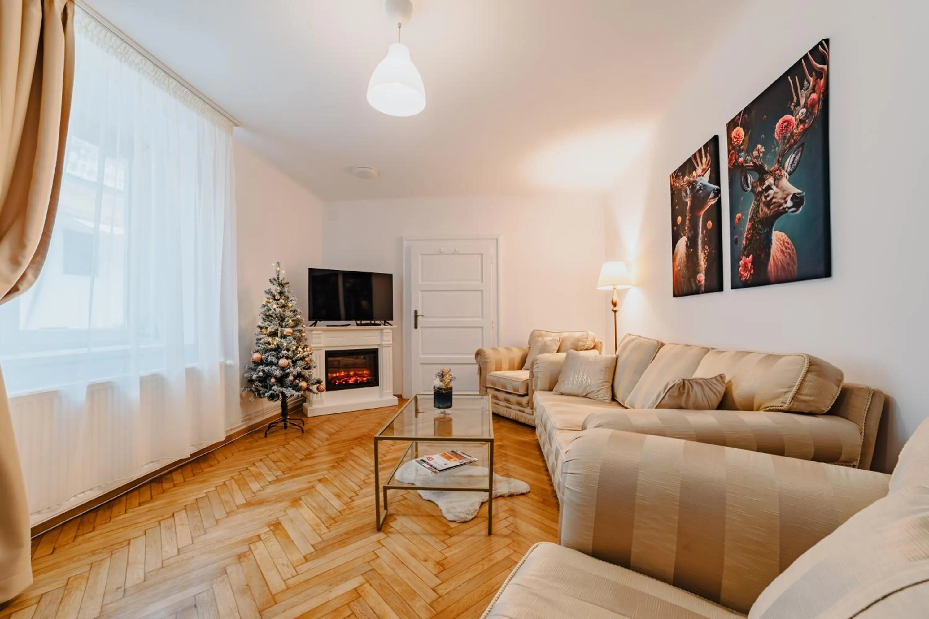 TV and multimedia in ALBERT RESIDENCE Brasov with complimentary parking off site