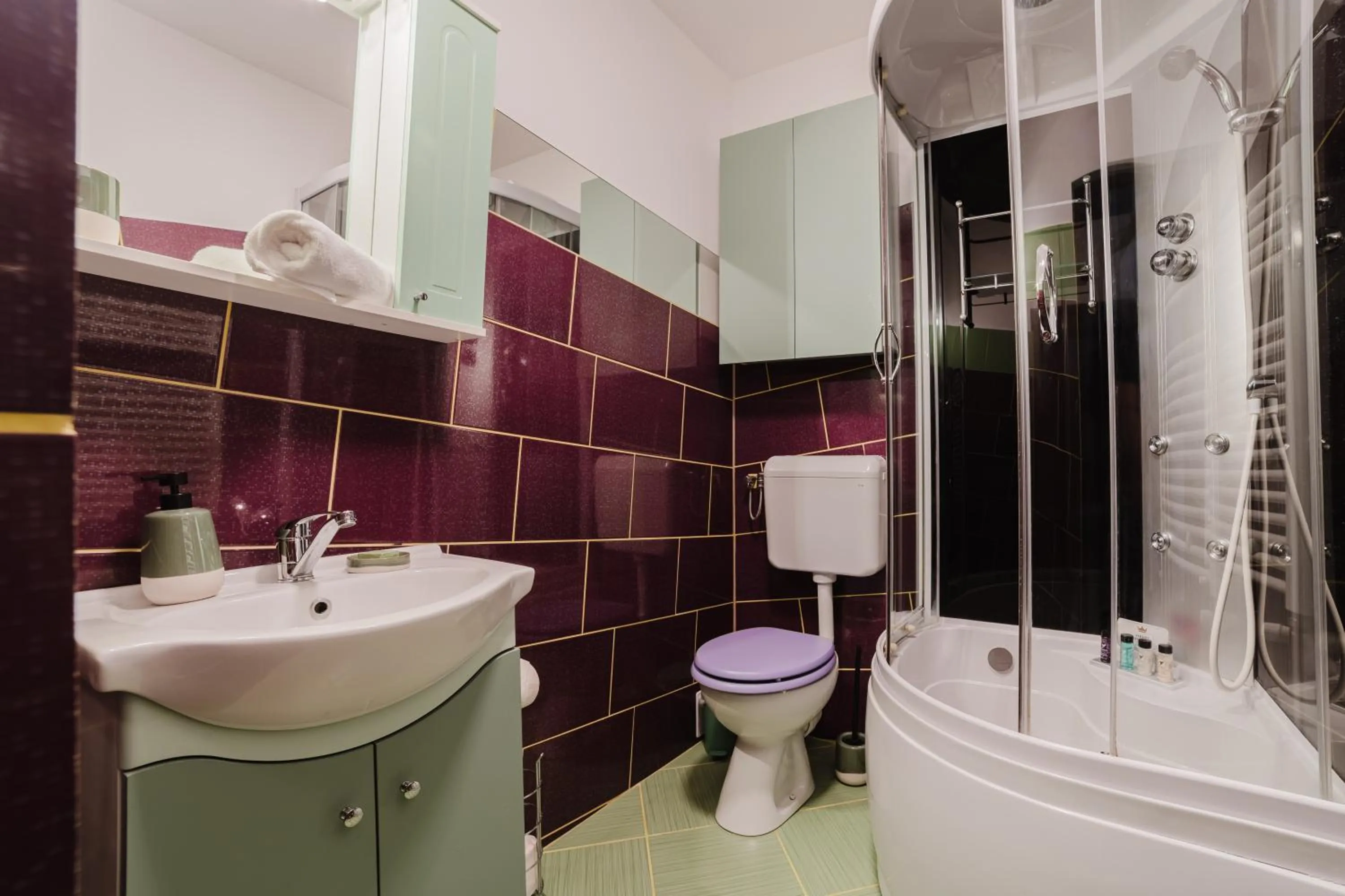 Shower in ALBERT RESIDENCE Brasov with complimentary parking off site