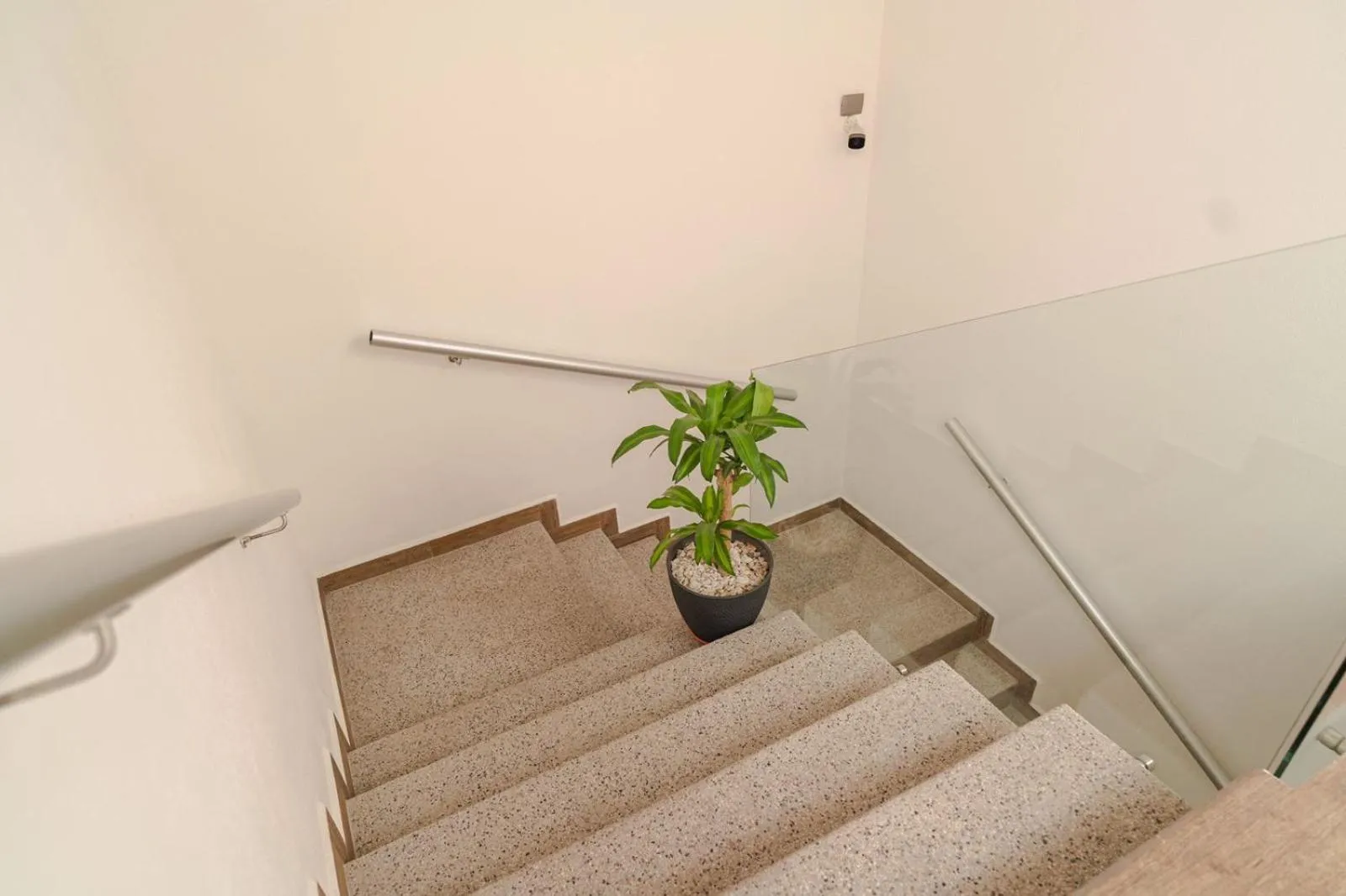 Property building in Real Naviero Hotel Ejecutivo