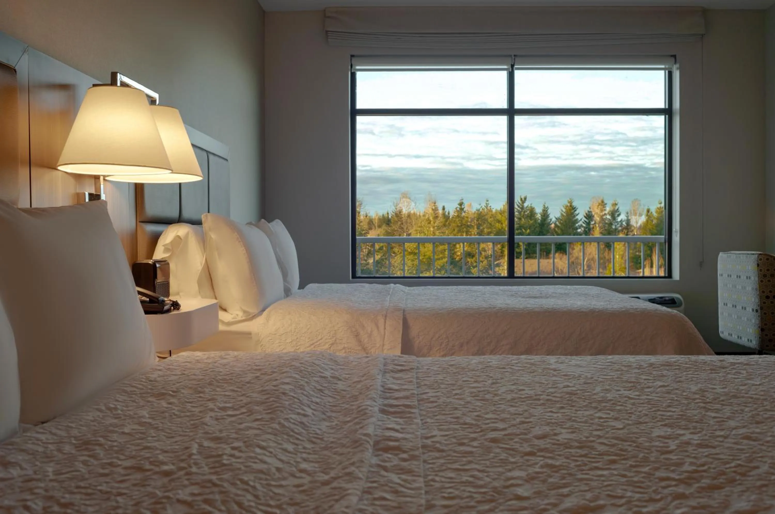 Natural landscape, Bed in Snoqualmie Inn by Hotel America